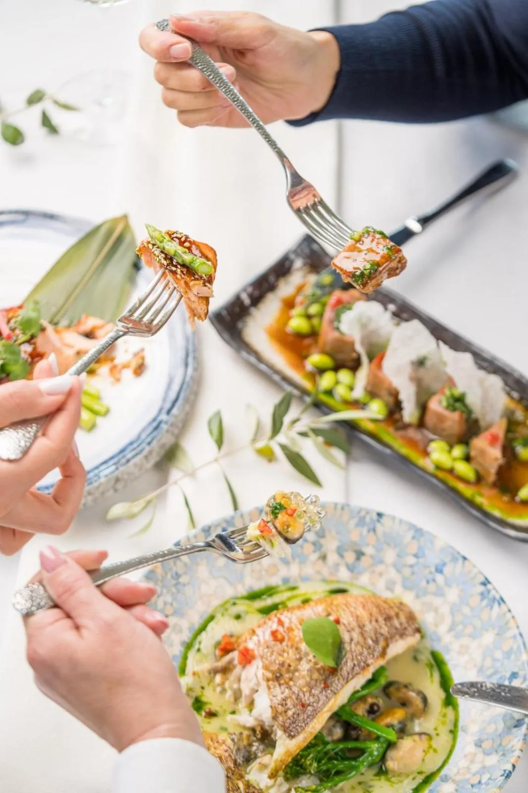 Food in Casa Timiș - Wellness & Spa Resort