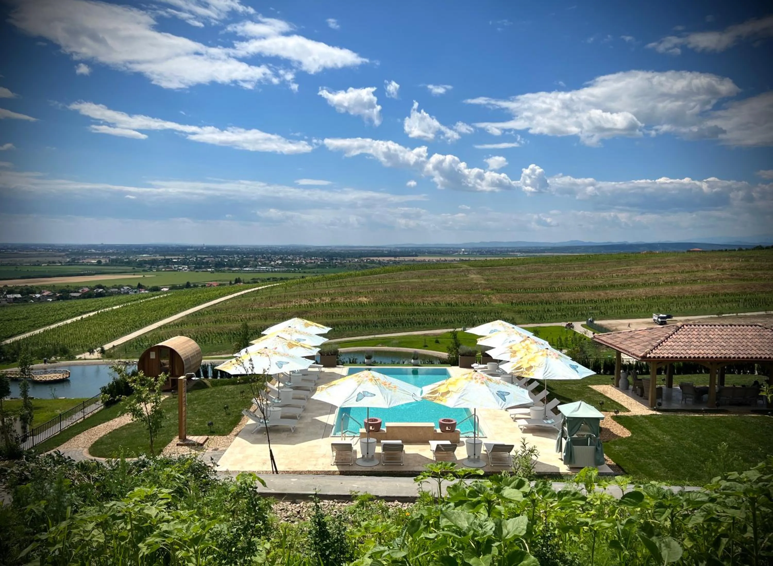 Swimming pool in Casa Timiș - Wellness & Spa Resort