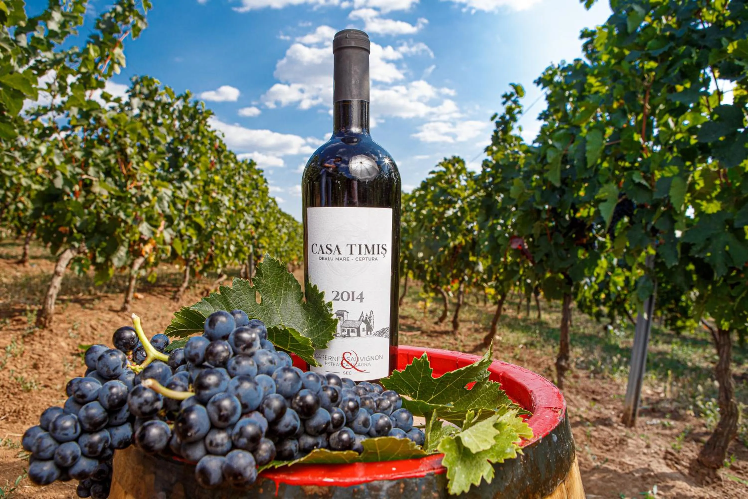 Food and drinks in Casa Timiș - Wellness & Spa Resort