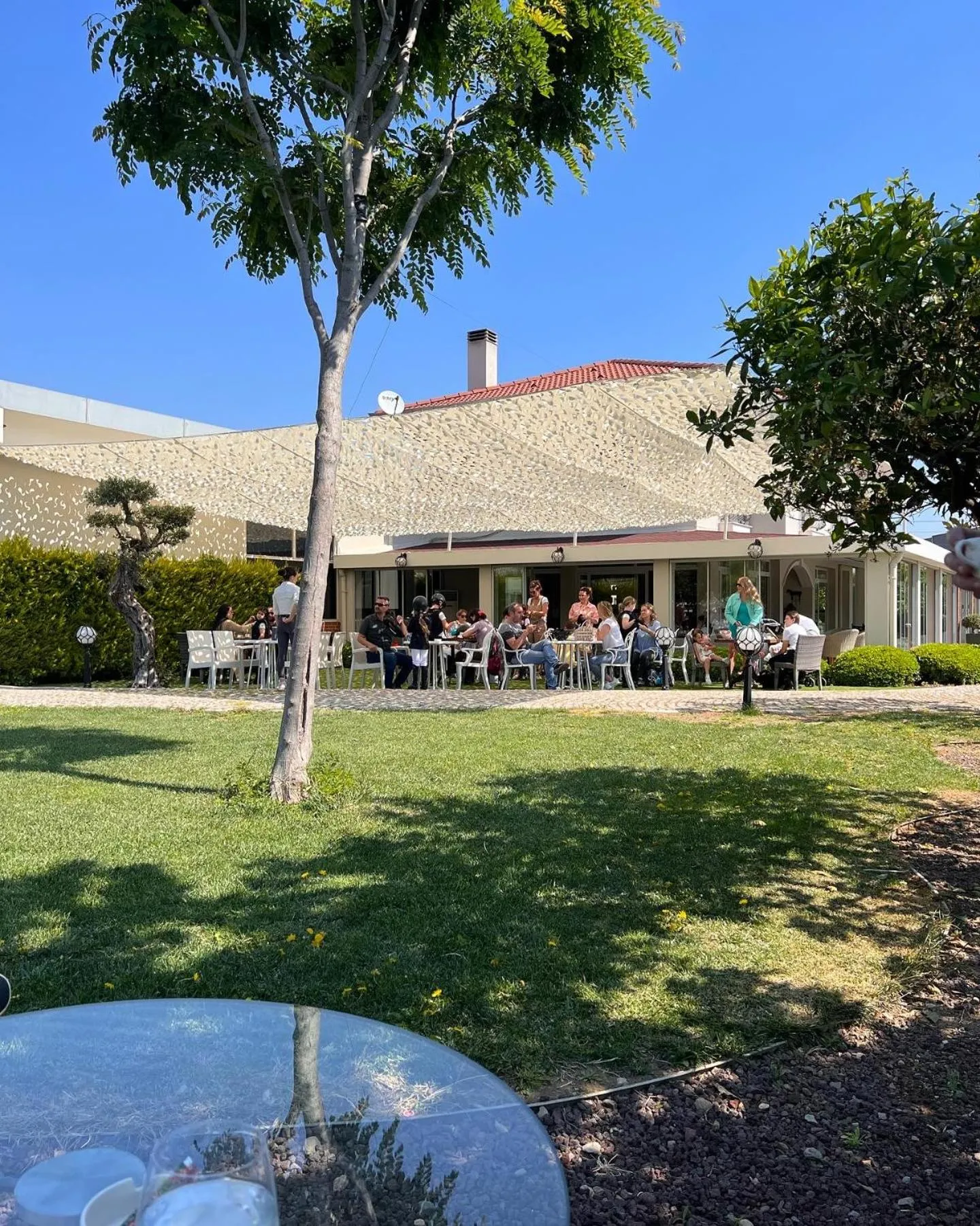 Garden in B. Equine Range Hotel