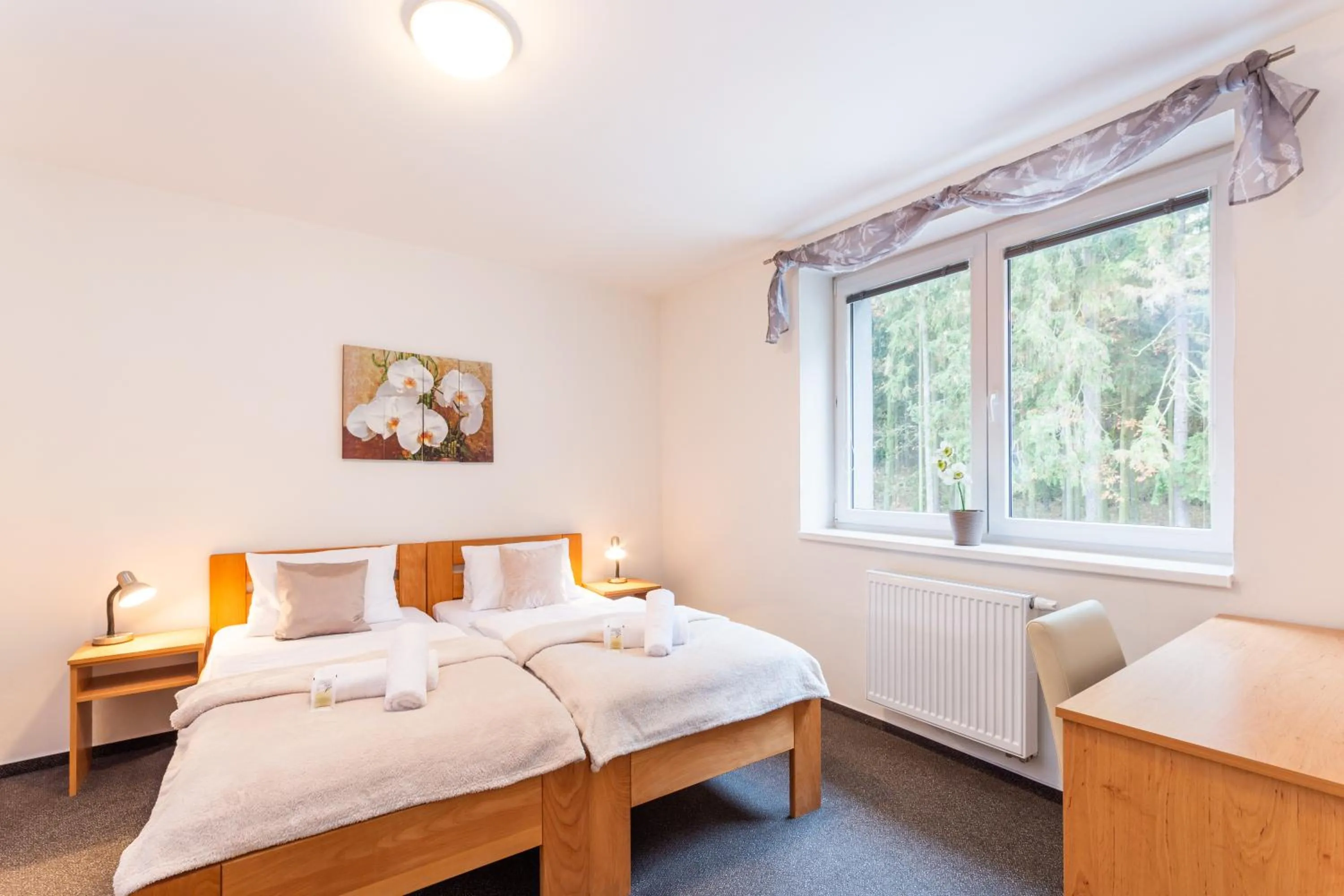 Bed in Hotel&Wellness Knížecí rybník