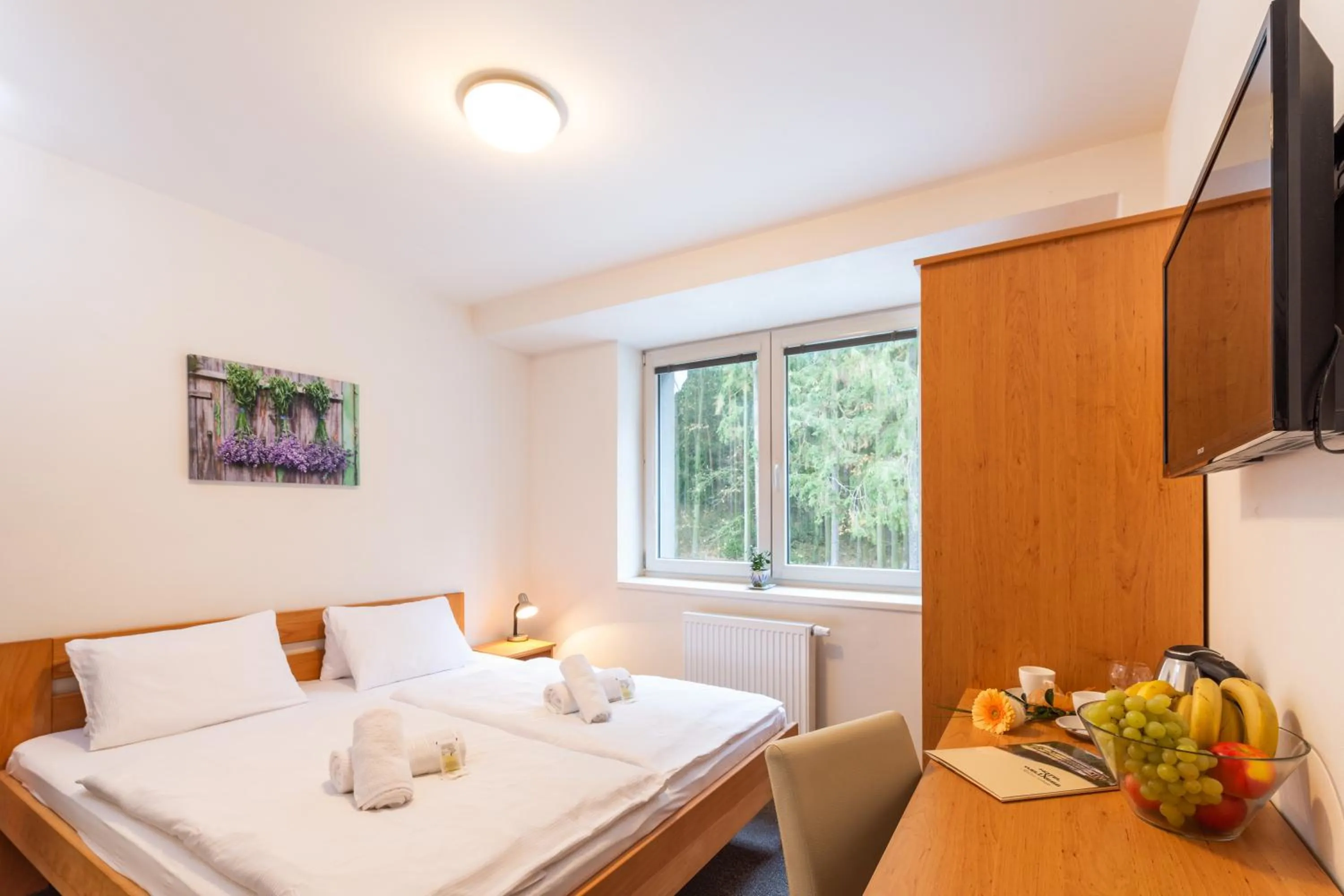 Bed in Hotel&Wellness Knížecí rybník
