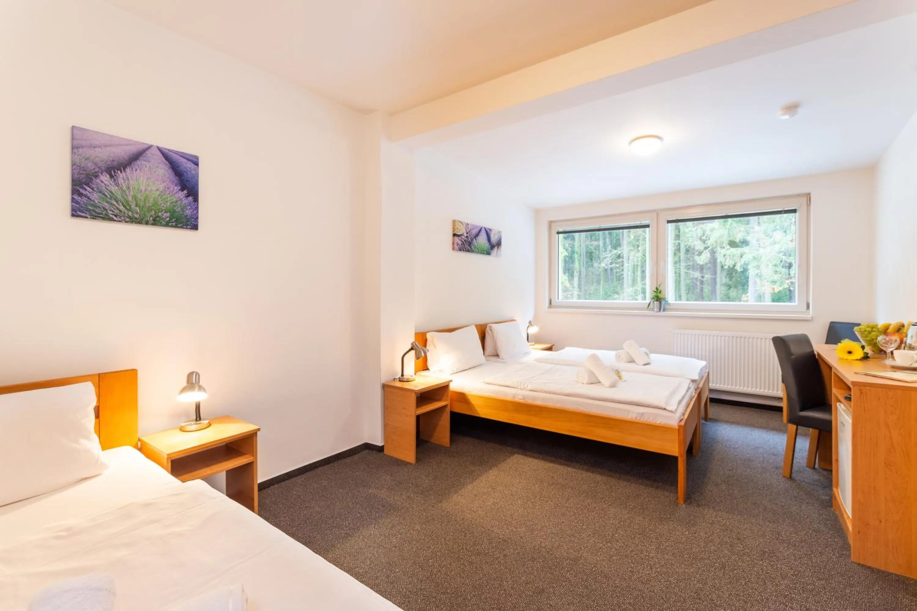 Bed in Hotel&Wellness Knížecí rybník