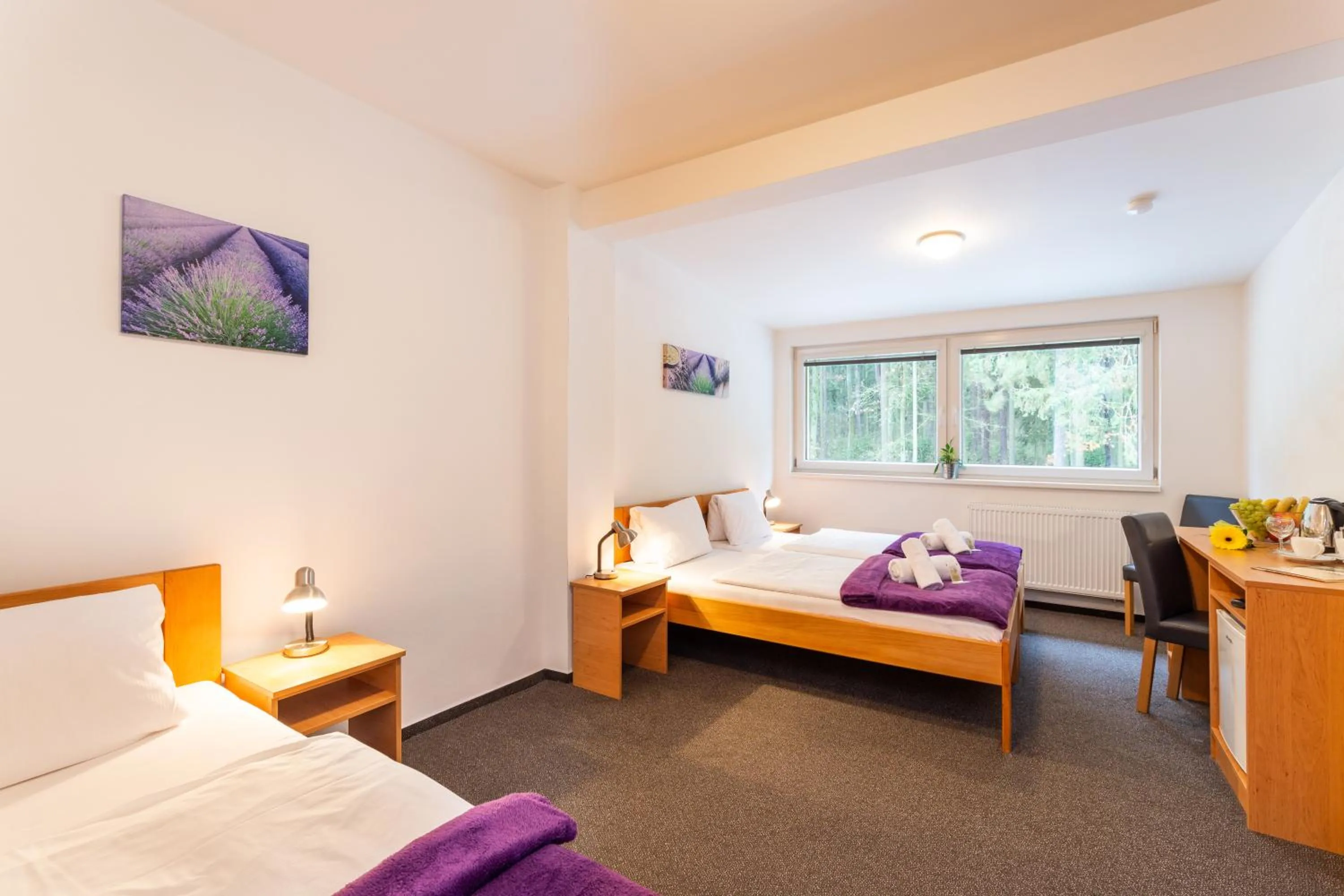 Bed in Hotel&Wellness Knížecí rybník