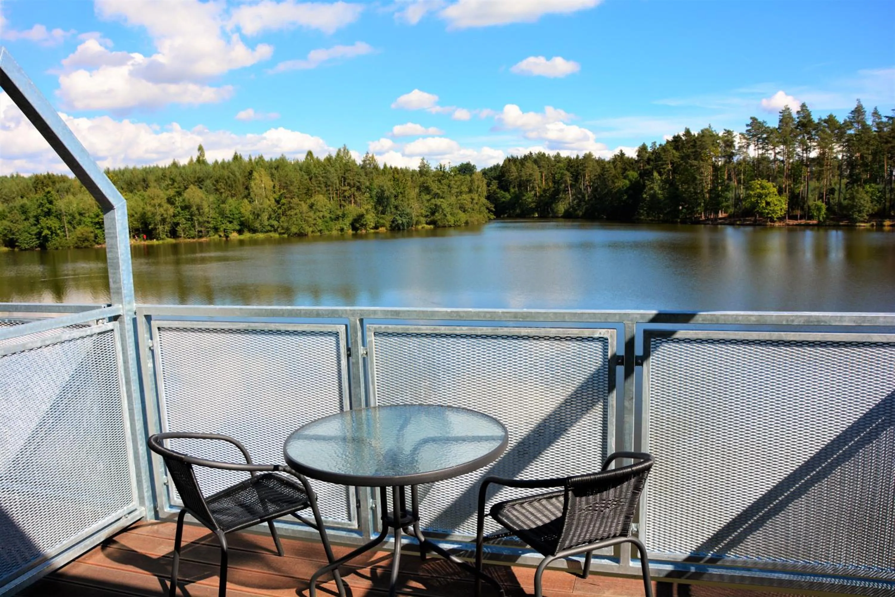 Balcony/Terrace in Hotel&Wellness Knížecí rybník