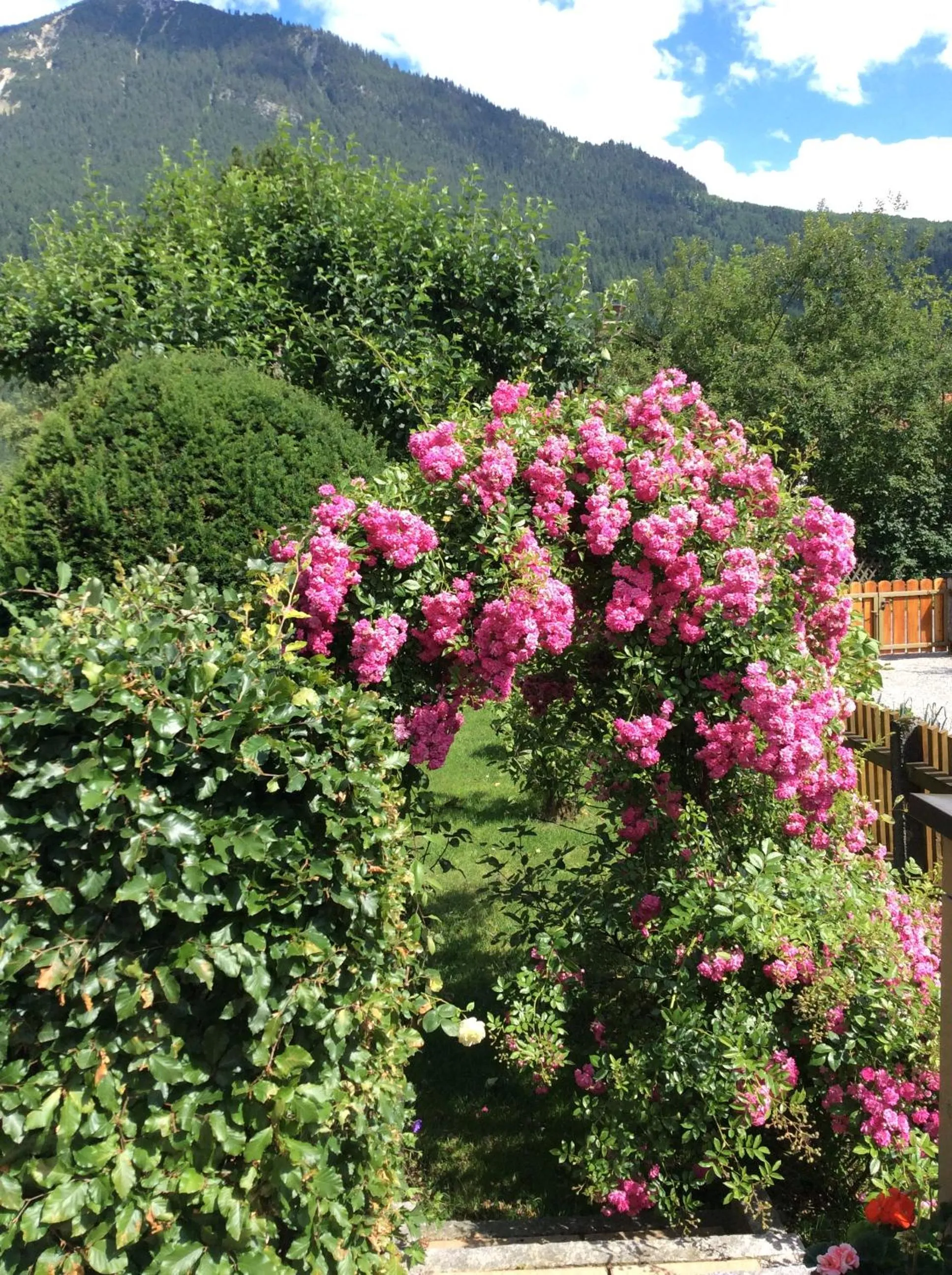 Bergblick