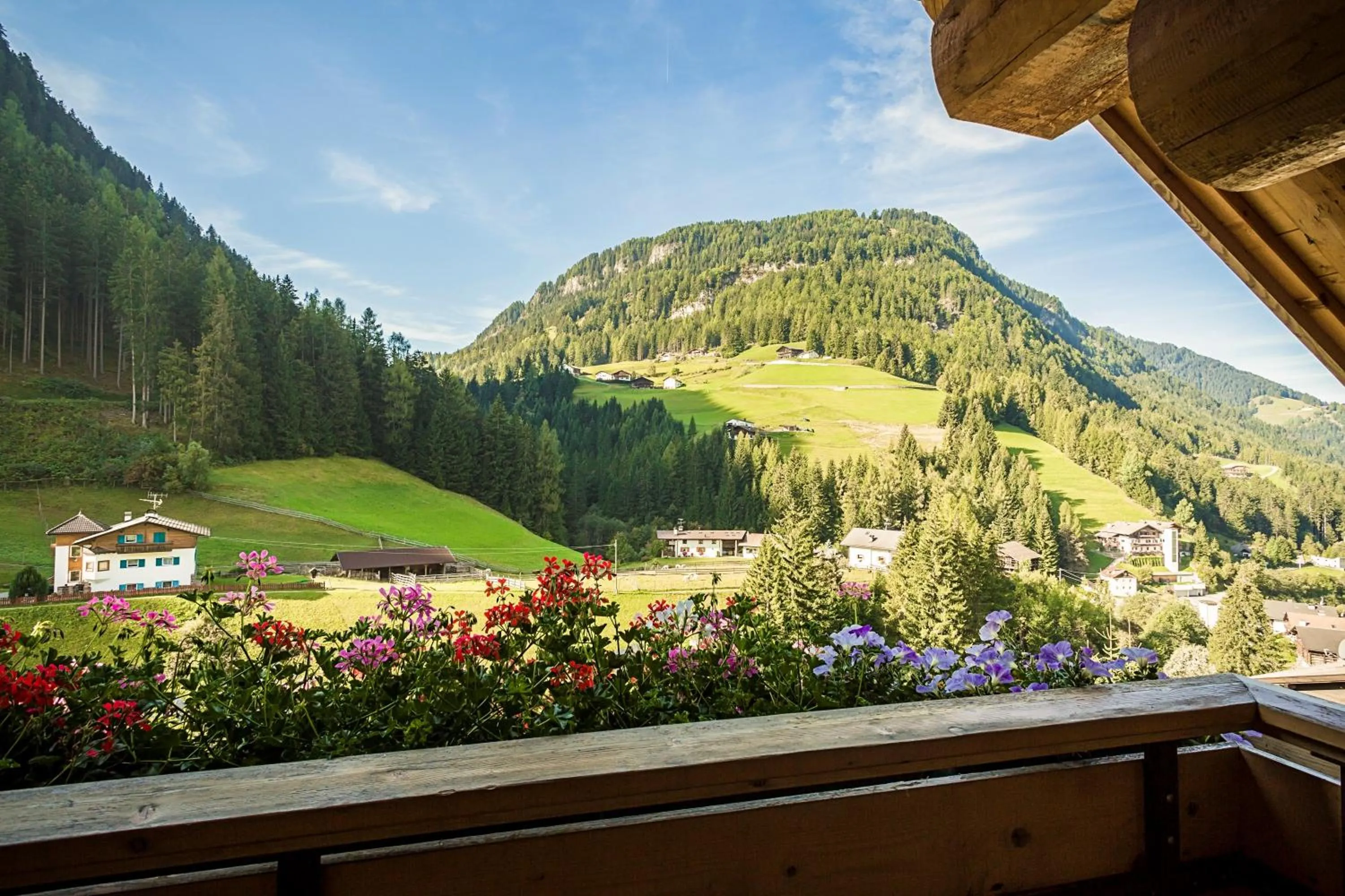 Day in Residence Telemark