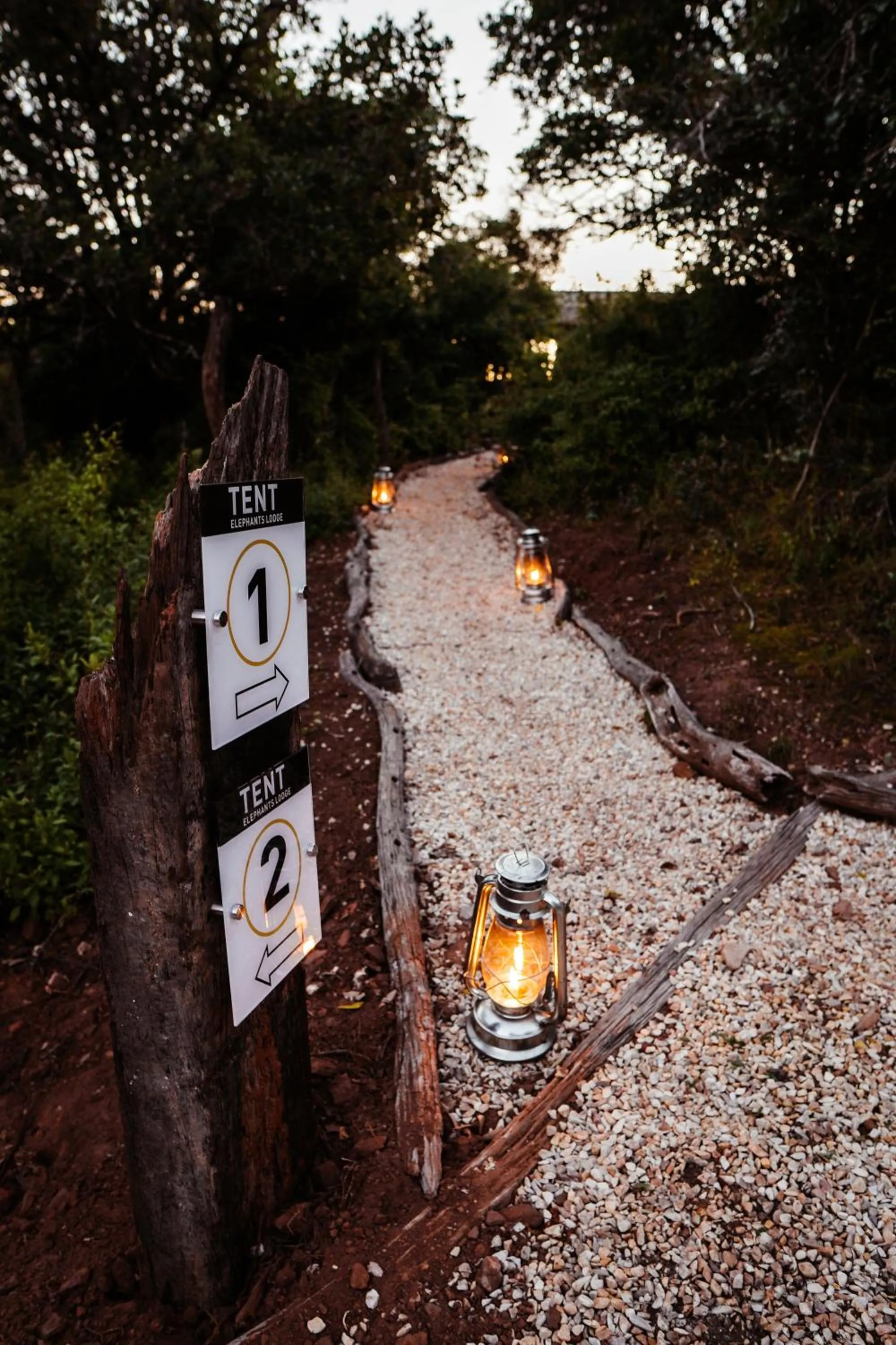 Property logo or sign in Addo Elephant Safari Lodge - Bellevue Forest Reserve