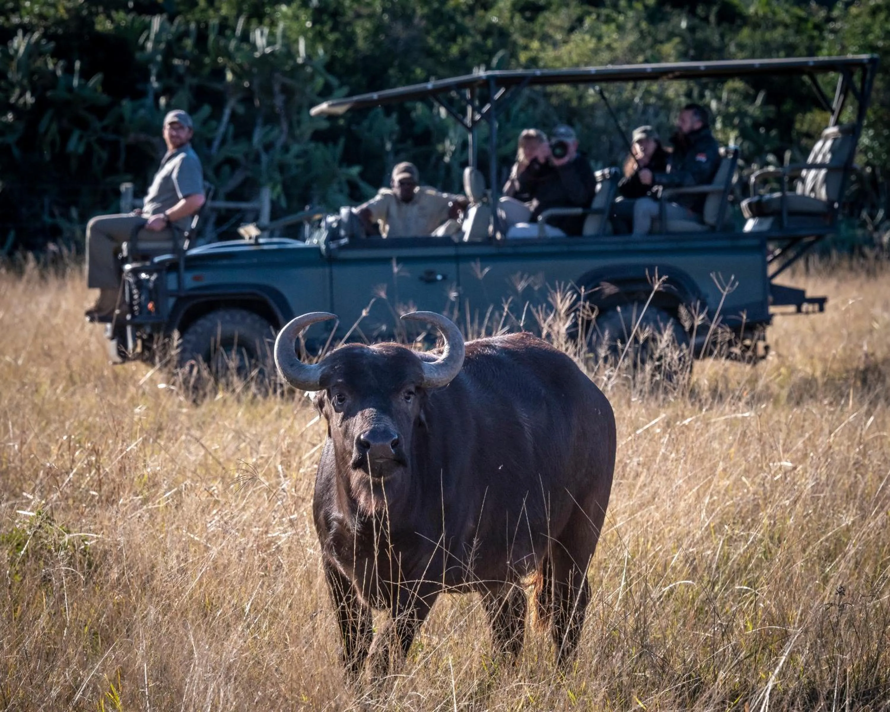 People in Addo Elephant Safari Lodge - Bellevue Forest Reserve