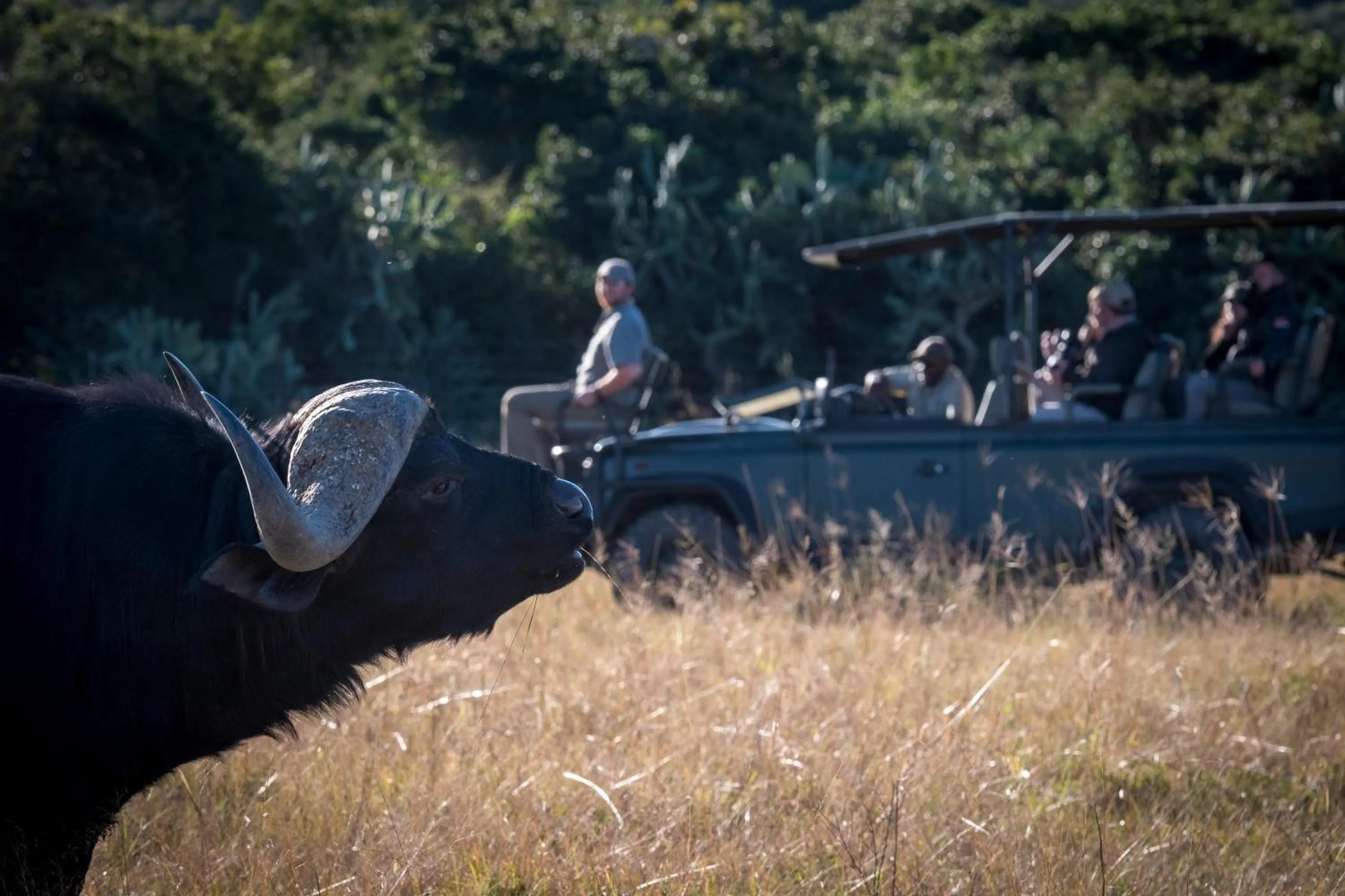 People in Addo Elephant Safari Lodge - Bellevue Forest Reserve