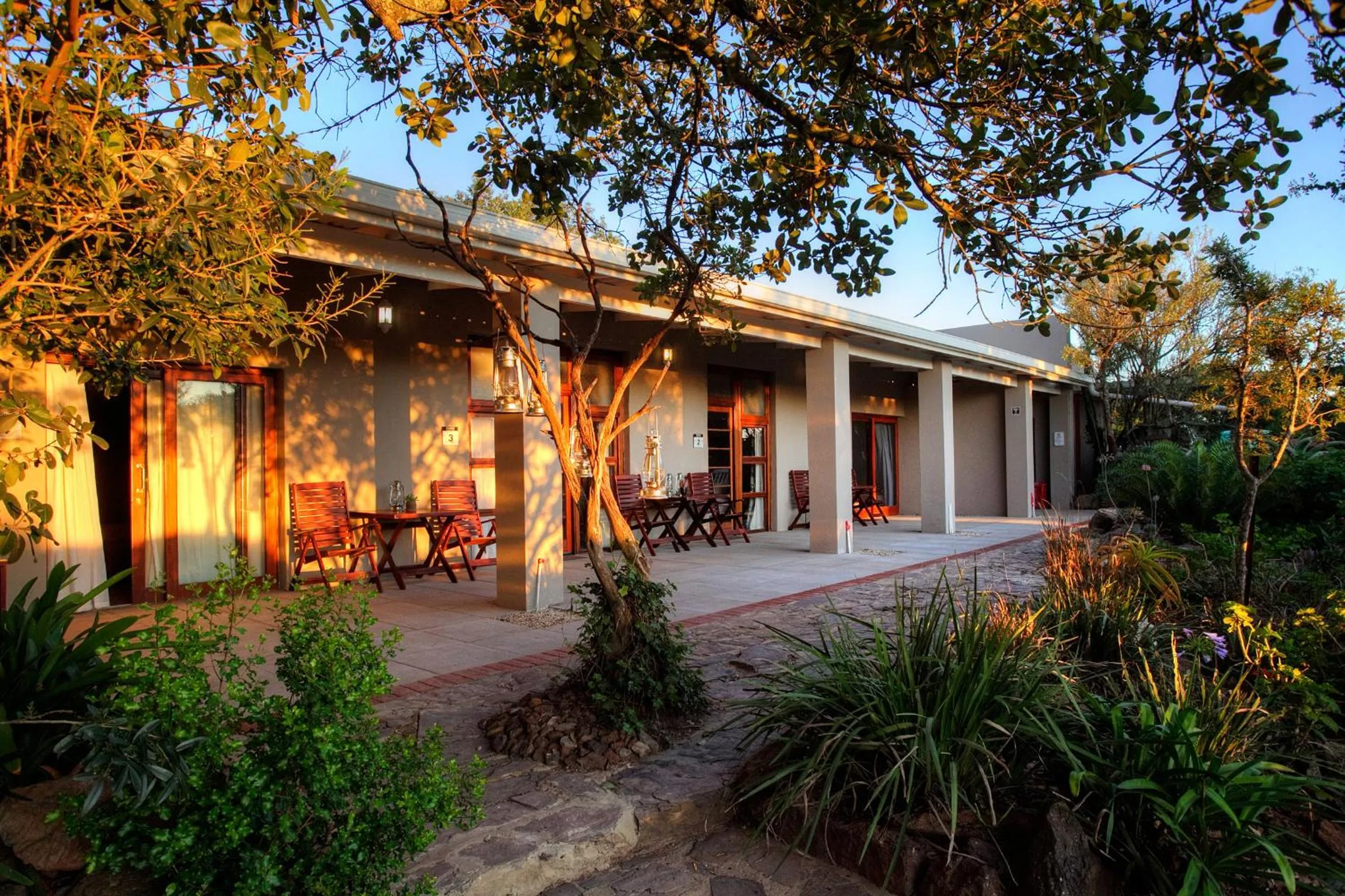 Property building in Addo Elephant Safari Lodge - Bellevue Forest Reserve