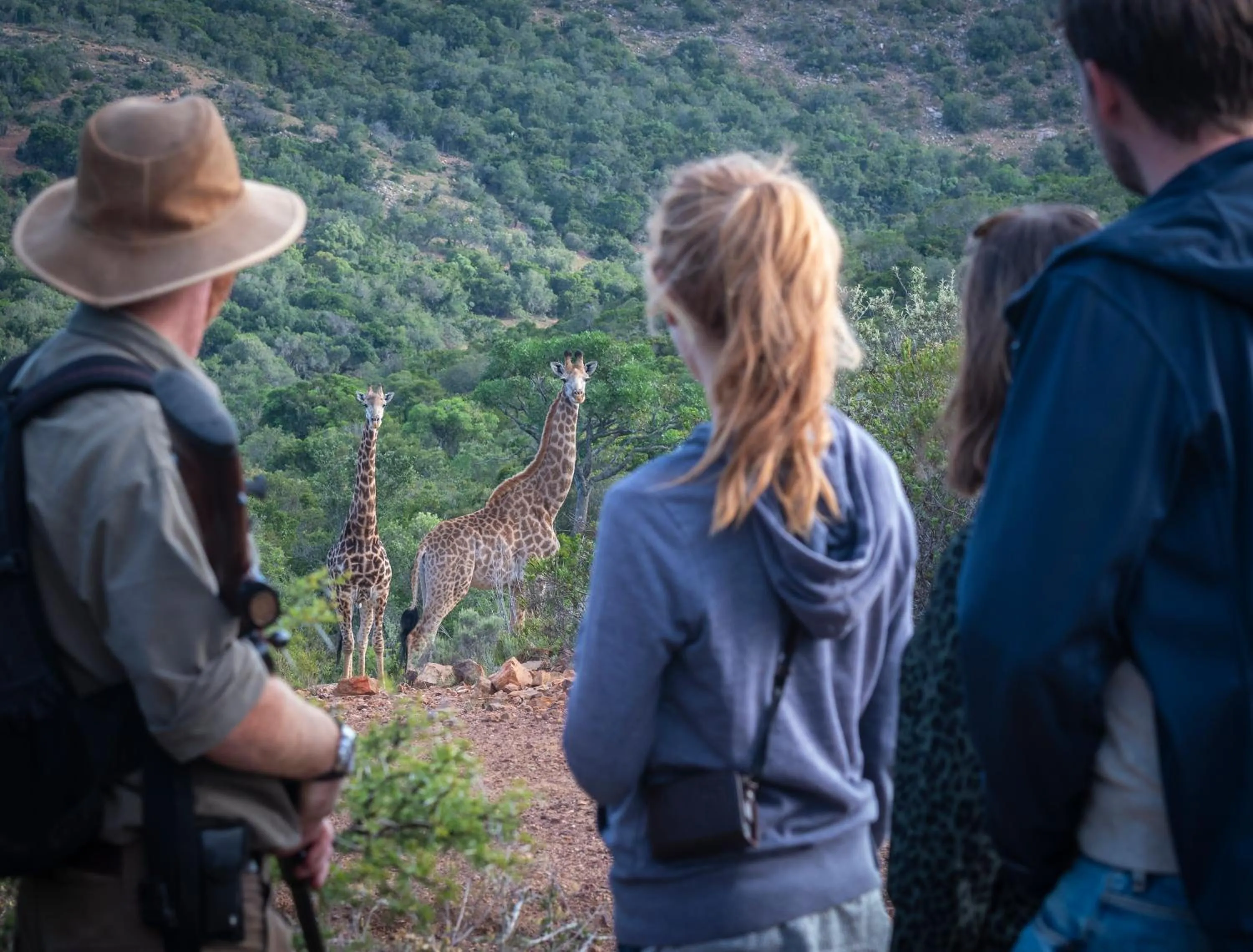 Hiking in Addo Elephant Safari Lodge - Bellevue Forest Reserve