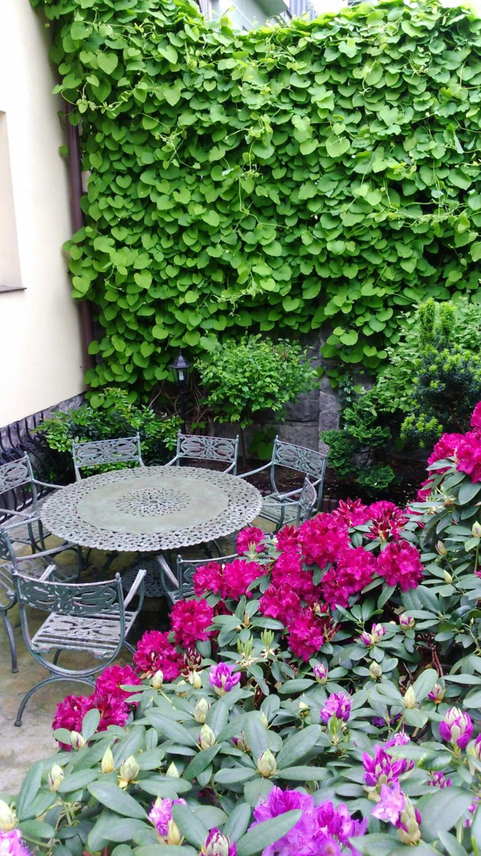 Patio in BTHouse, Pokoje Gościnne