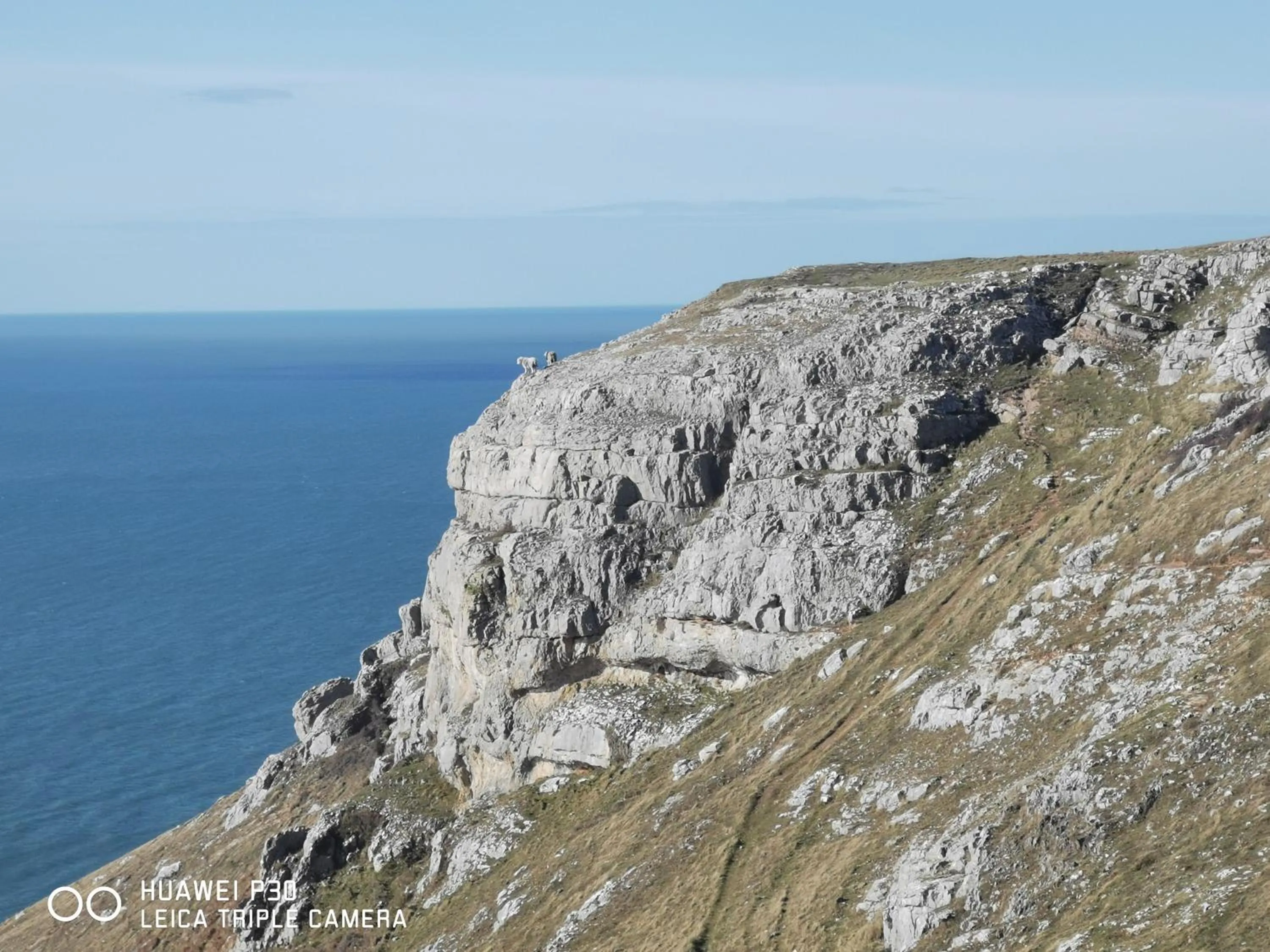 Natural landscape in Merrion Hotel