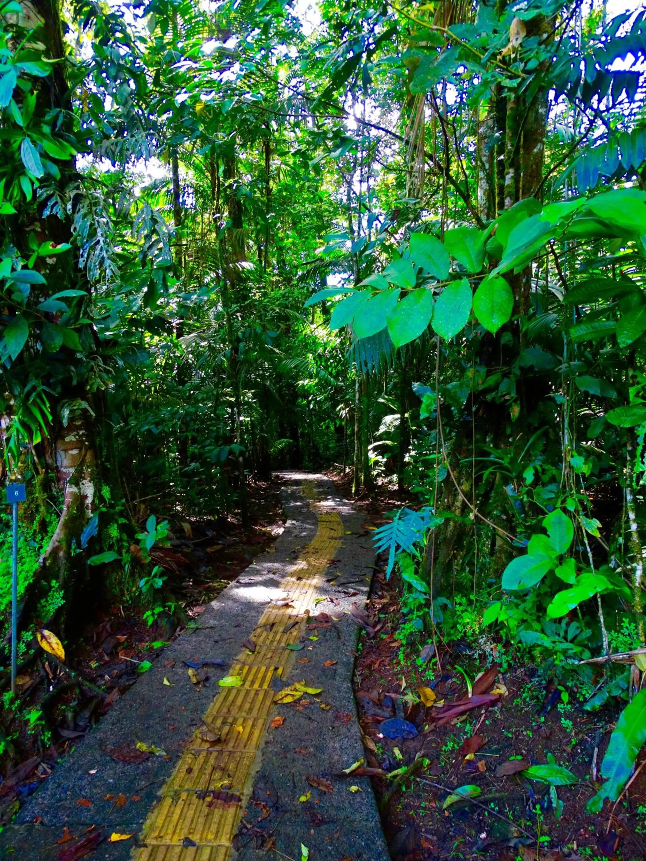Garden in La Selva Biological Station