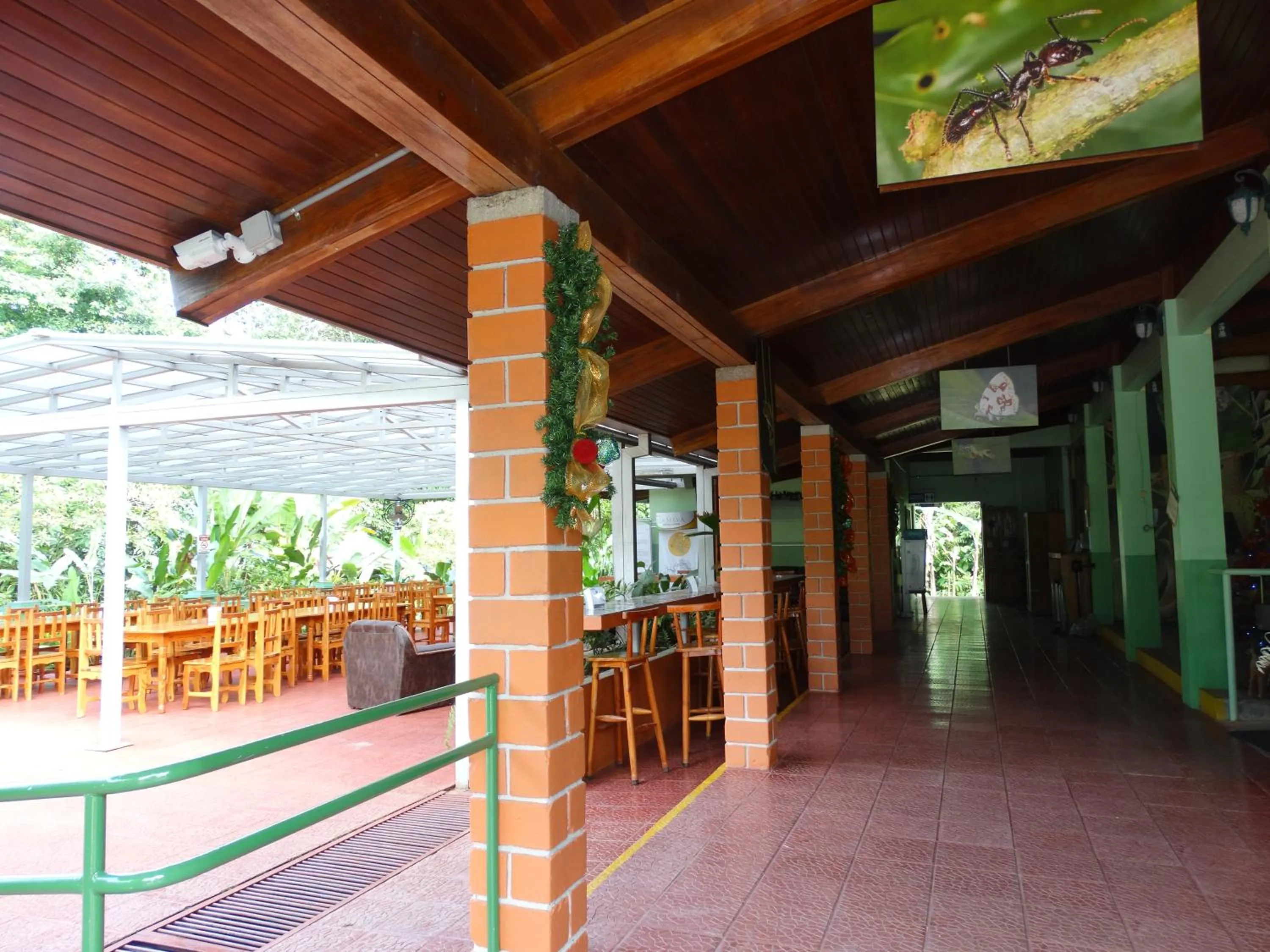 Balcony/Terrace in La Selva Biological Station