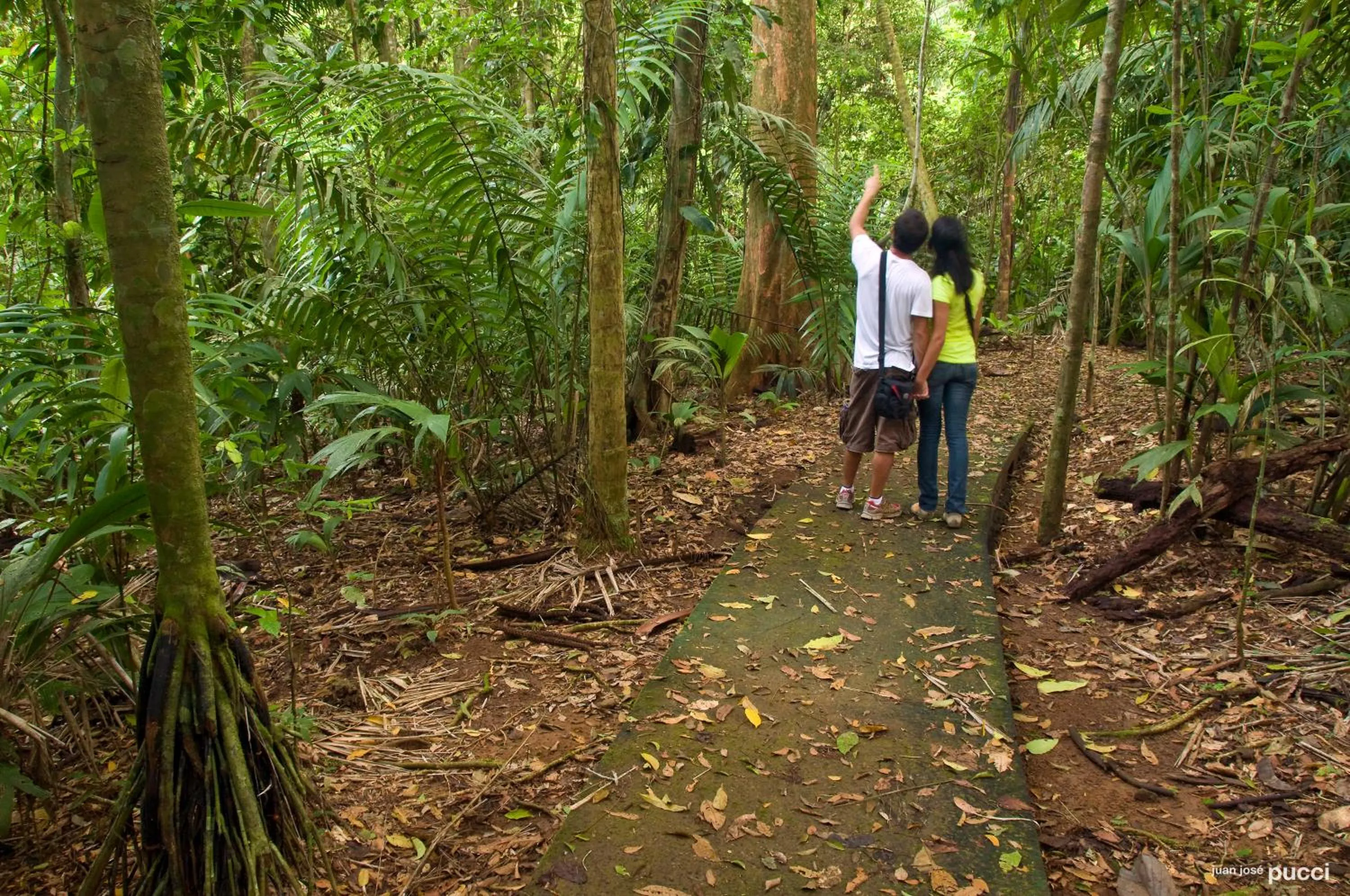 Hiking in La Selva Biological Station