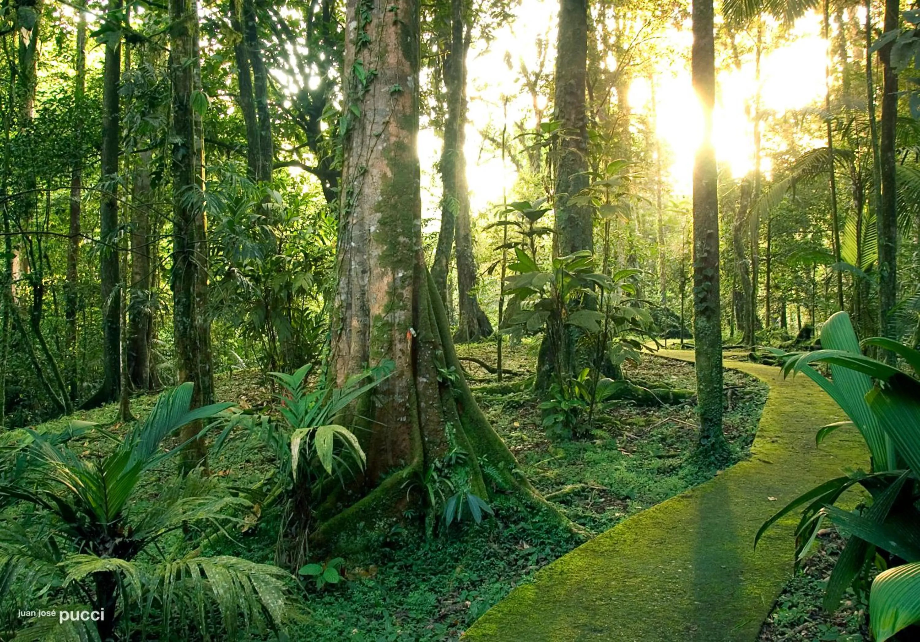 Garden in La Selva Biological Station