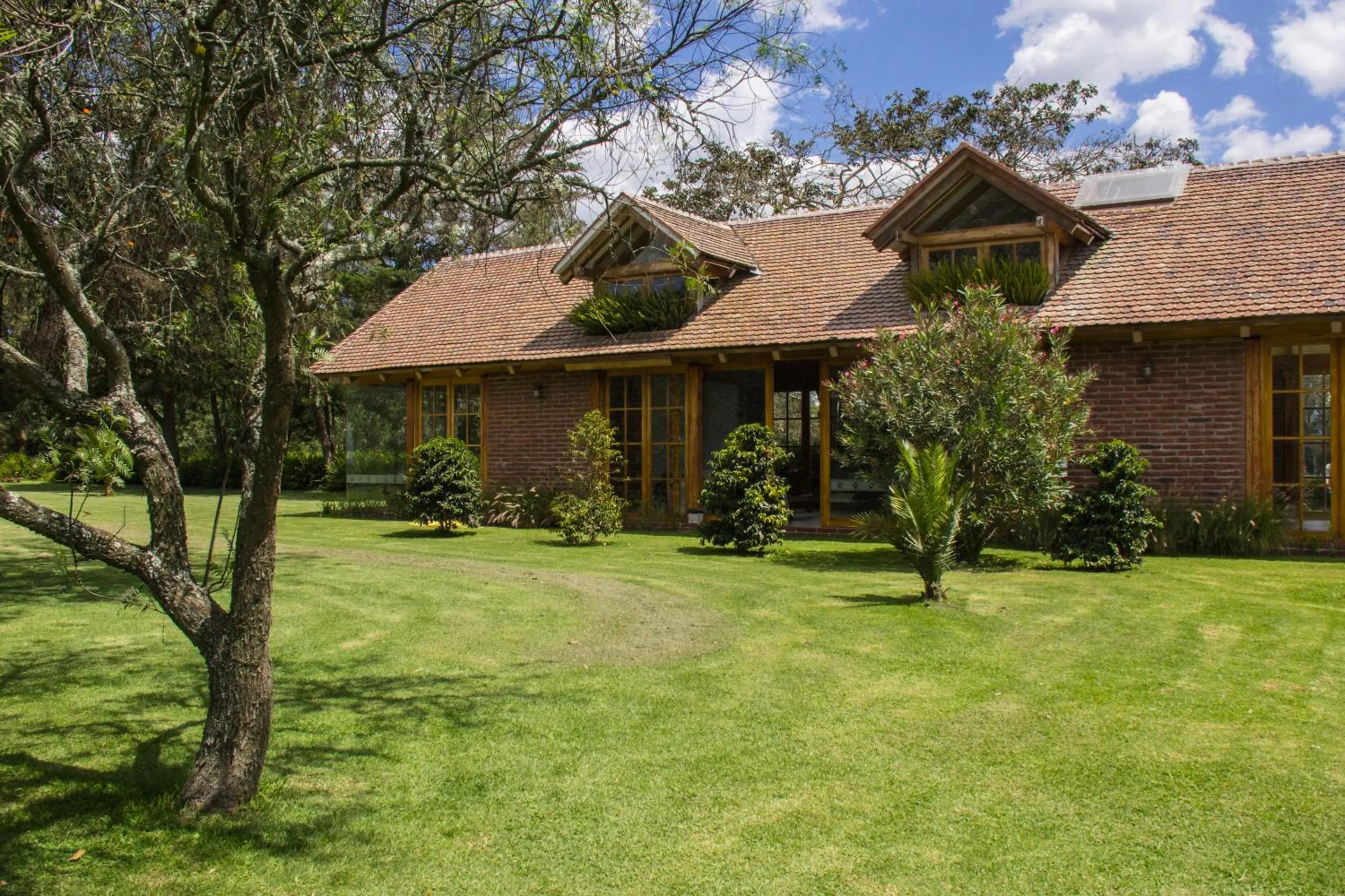 Area and facilities in La Palma Polo Hotel - Airport Area