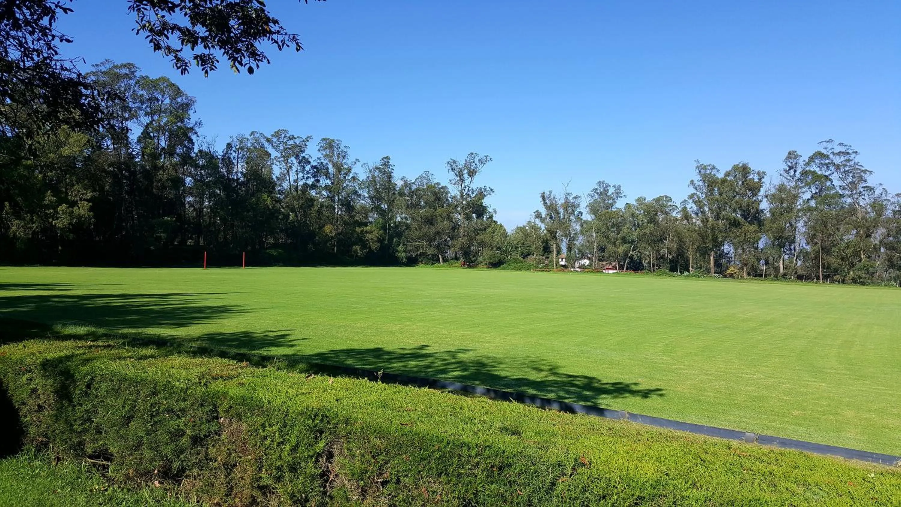 Patio in La Palma Polo Hotel - Airport Area