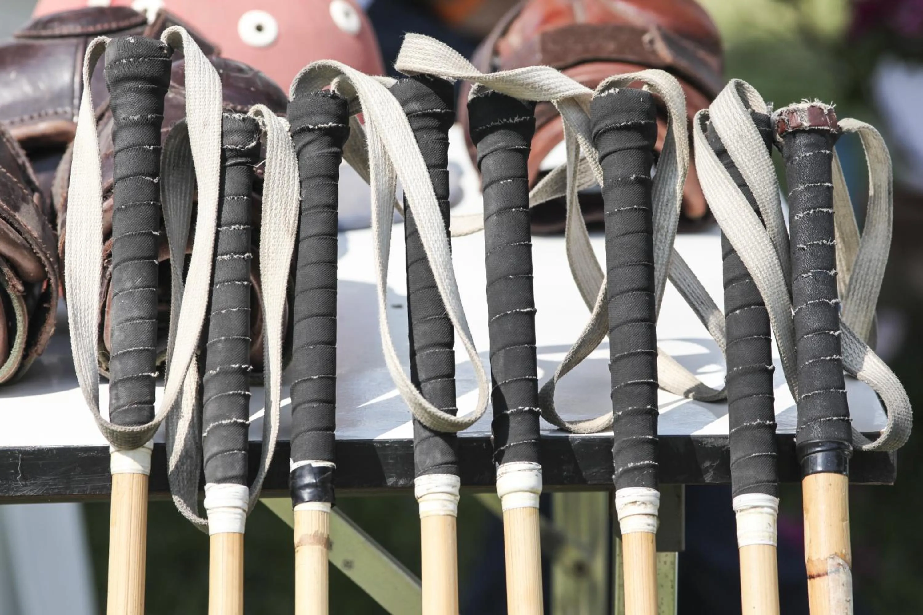 Horse-riding in La Palma Polo Hotel - Airport Area