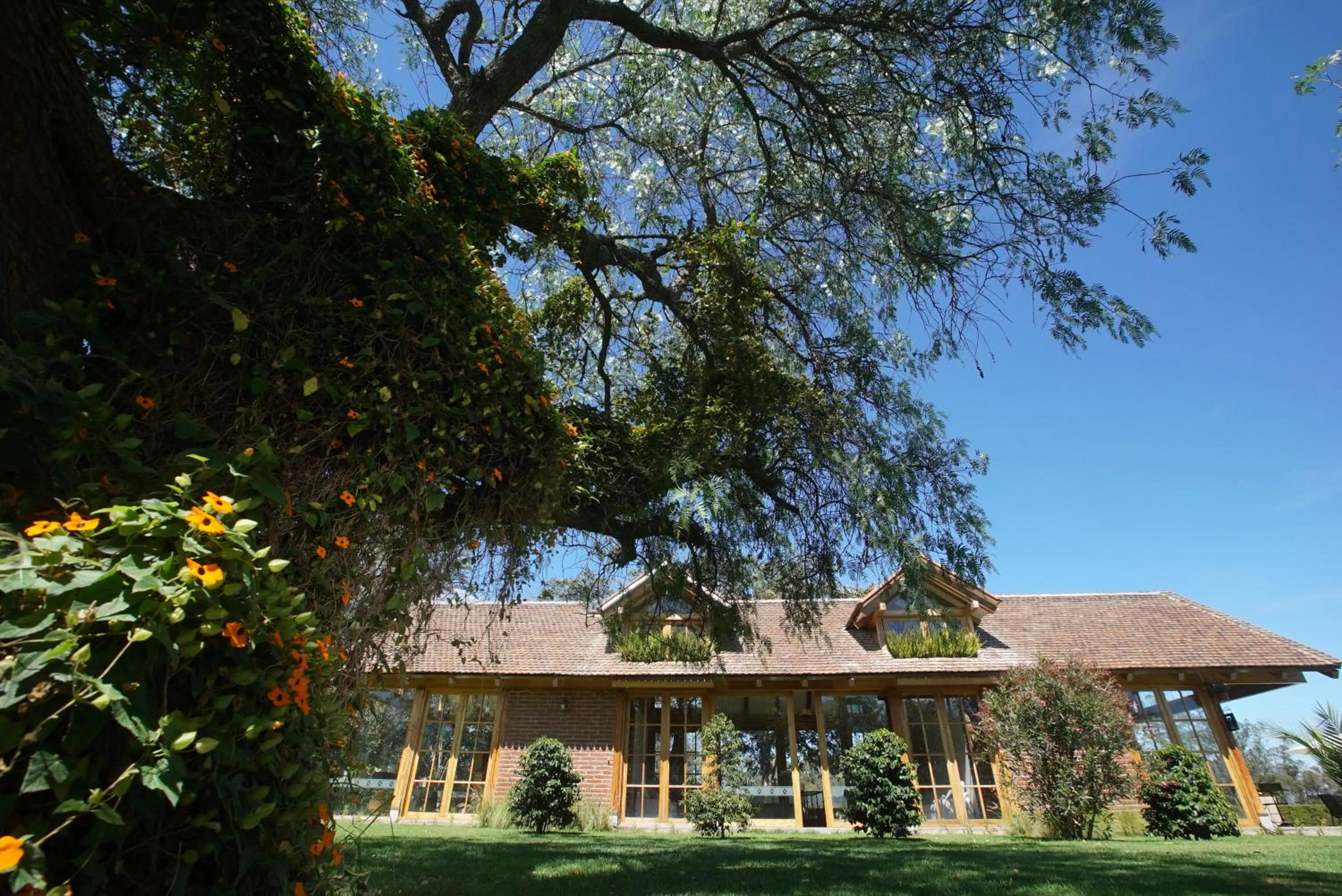 Lobby or reception in La Palma Polo Hotel - Airport Area