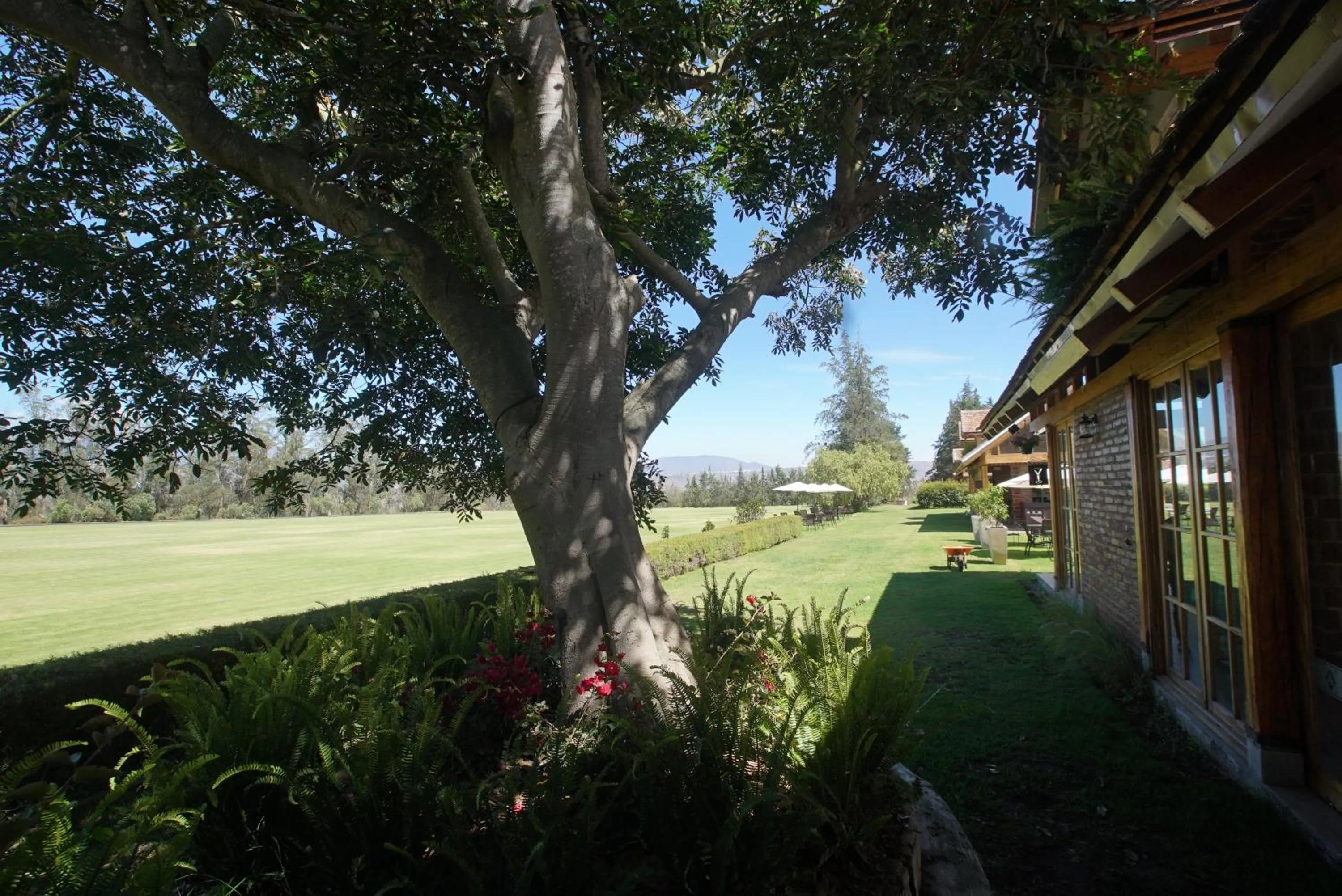 Natural landscape in La Palma Polo Hotel - Airport Area