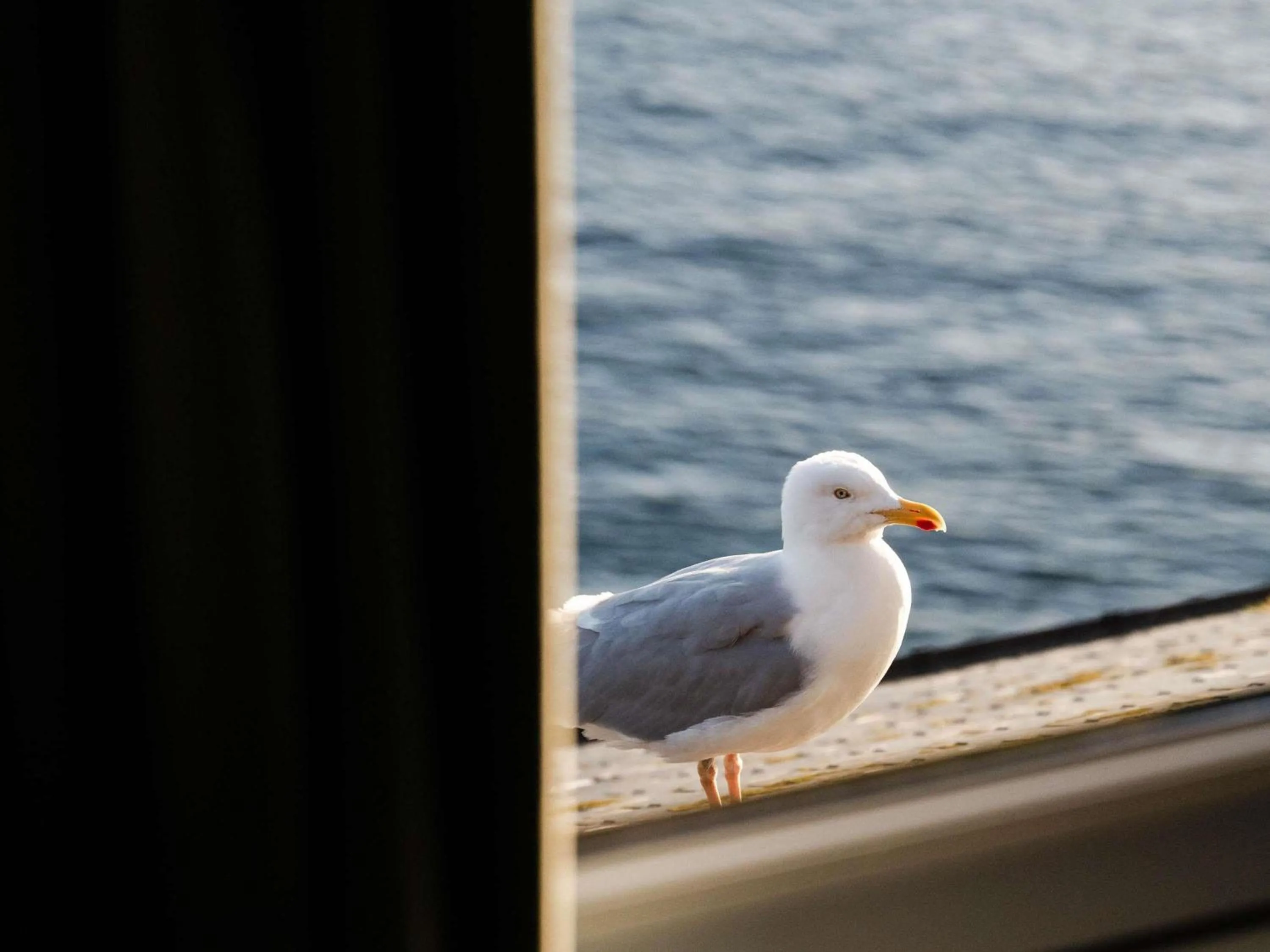 Meeting/conference room in Hotel Mercure Roscoff Bord De Mer
