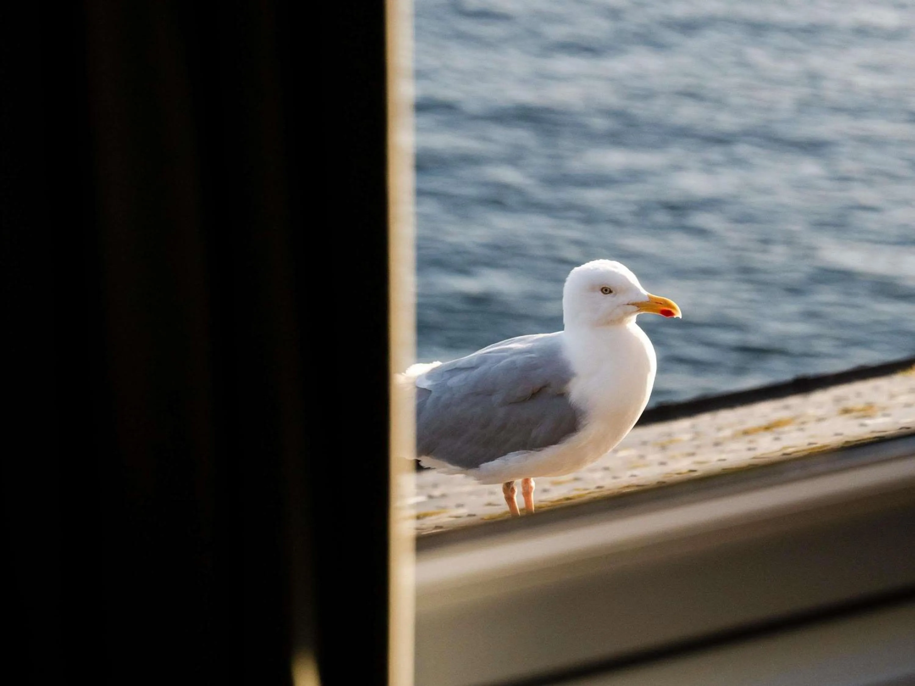 Other in Hotel Mercure Roscoff Bord De Mer