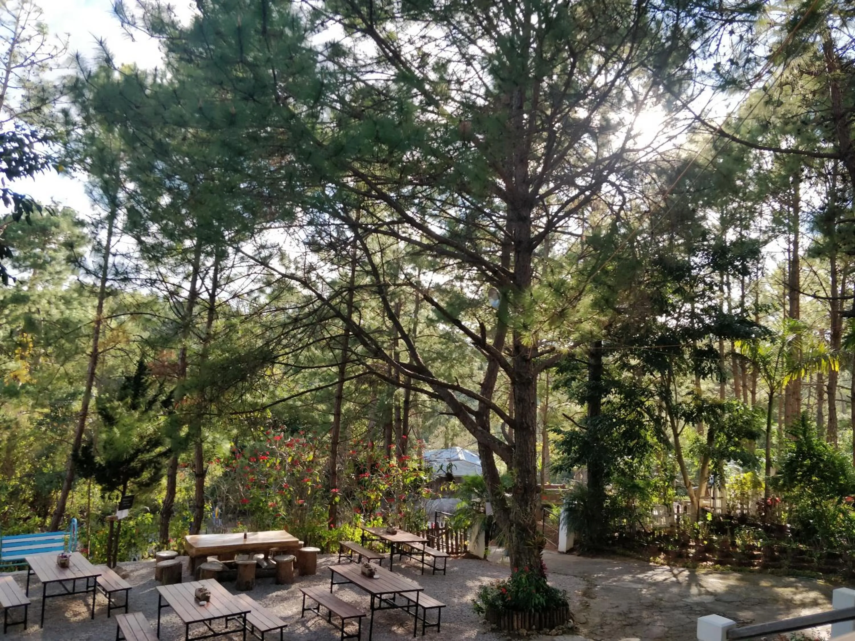 Other in Hillock Villa