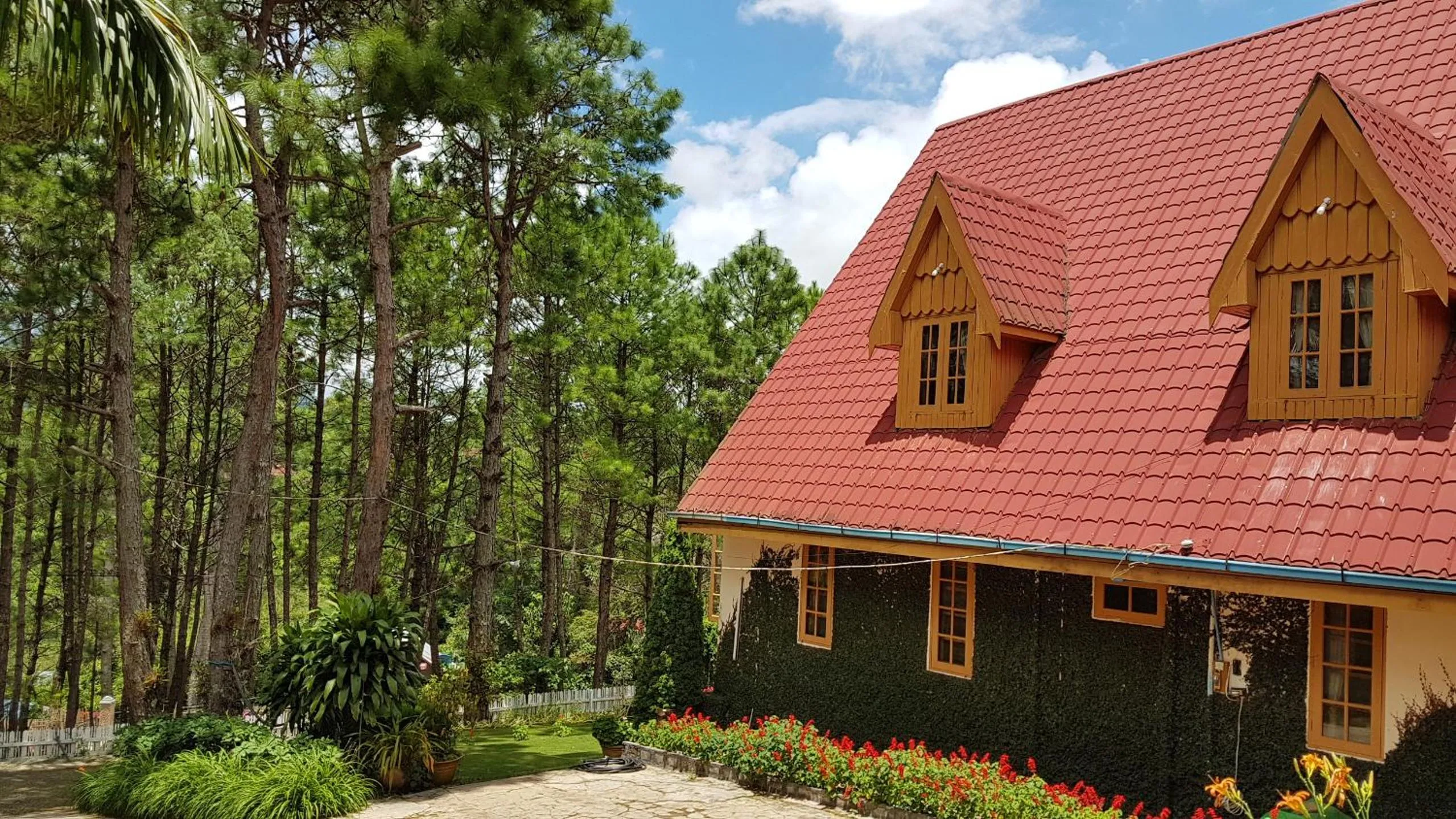 Bird's eye view in Hillock Villa