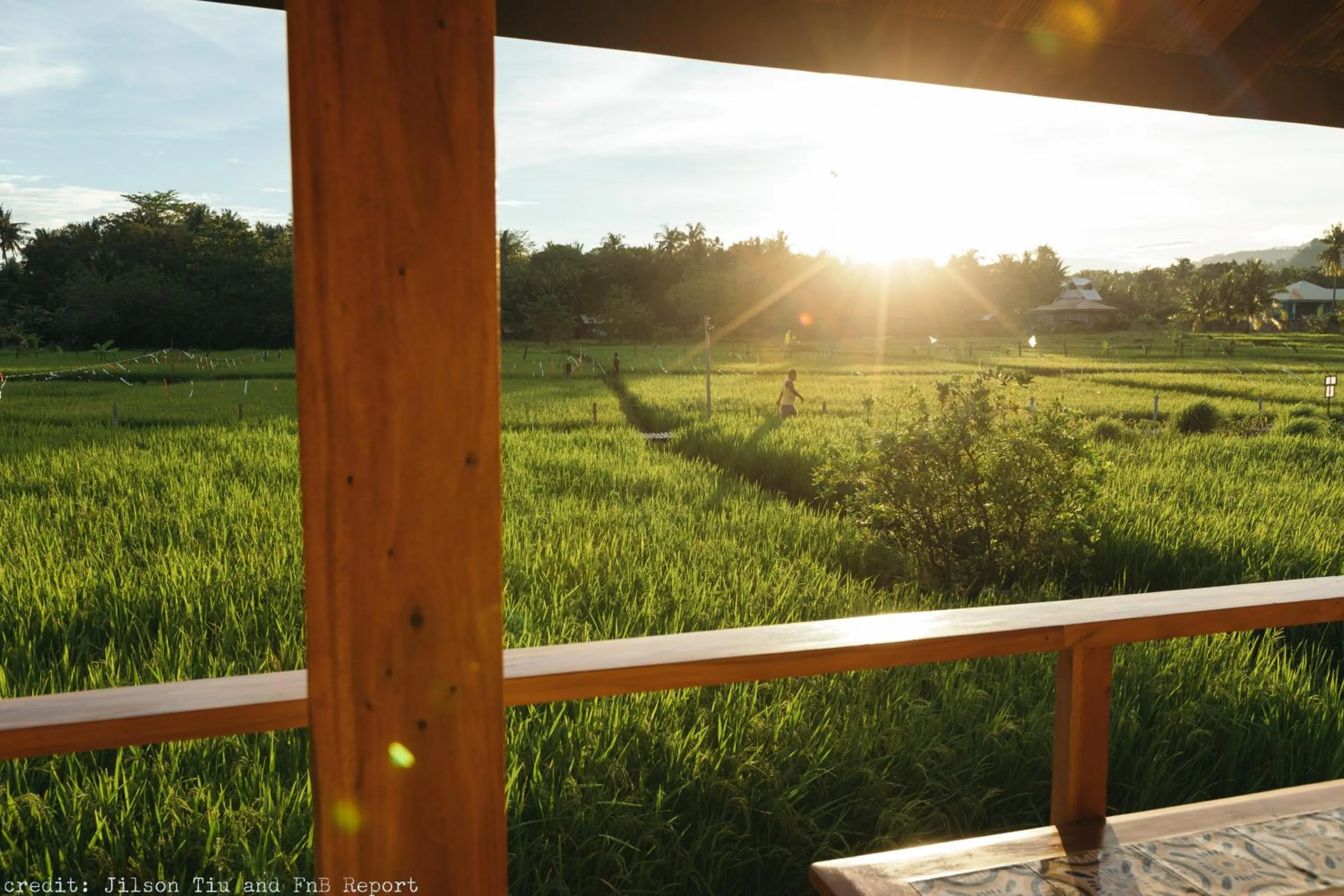 Balcony/Terrace in Guerrera Rice Paddy Villas