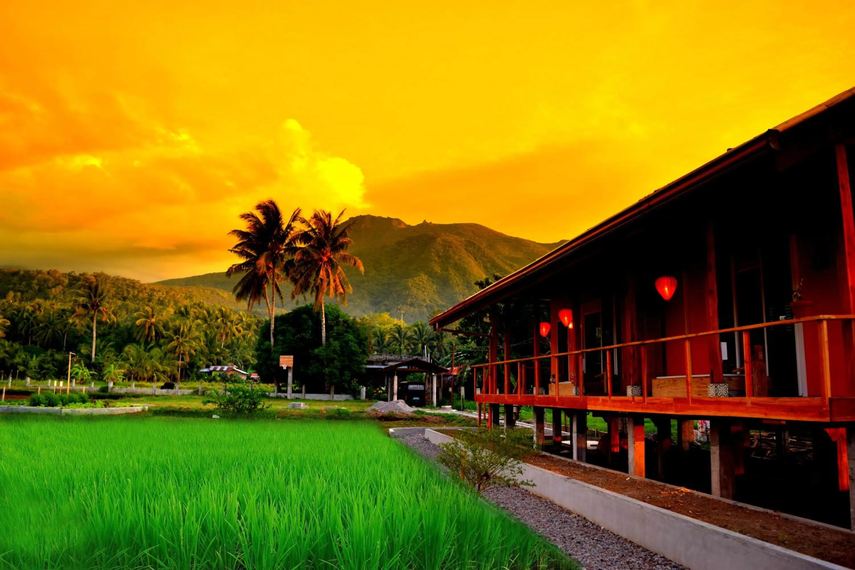 Property building in Guerrera Rice Paddy Villas