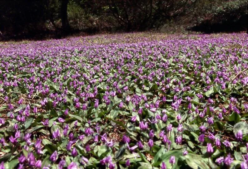 Other in Hotel Kinomezaka