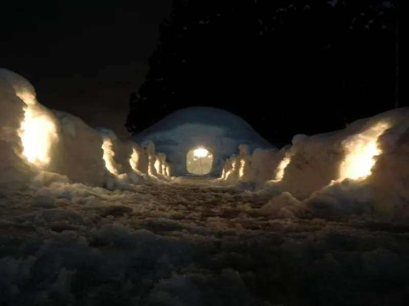 Winter in Hotel Kinomezaka