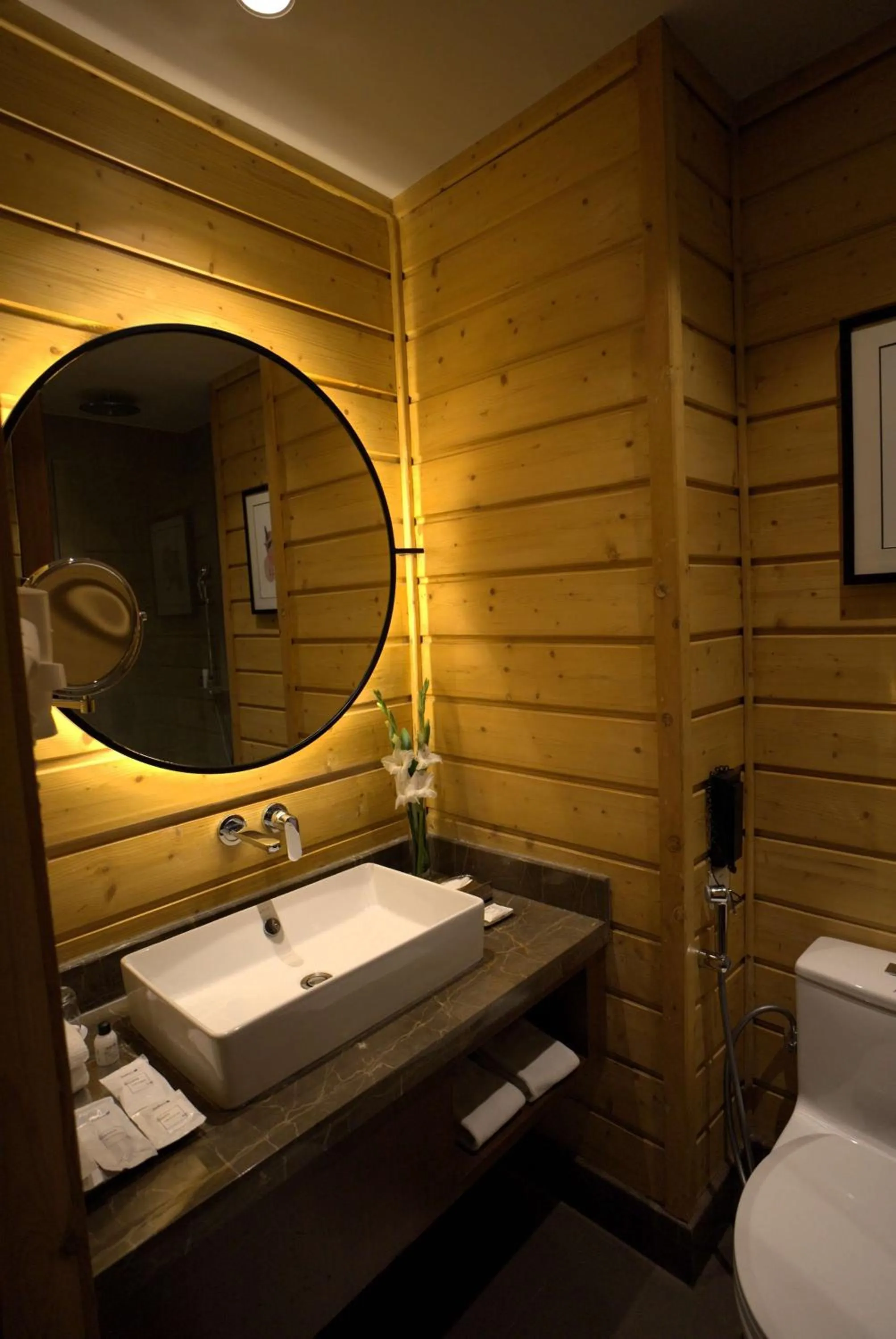 Bathroom in Radisson Blu Resort Dharamshala