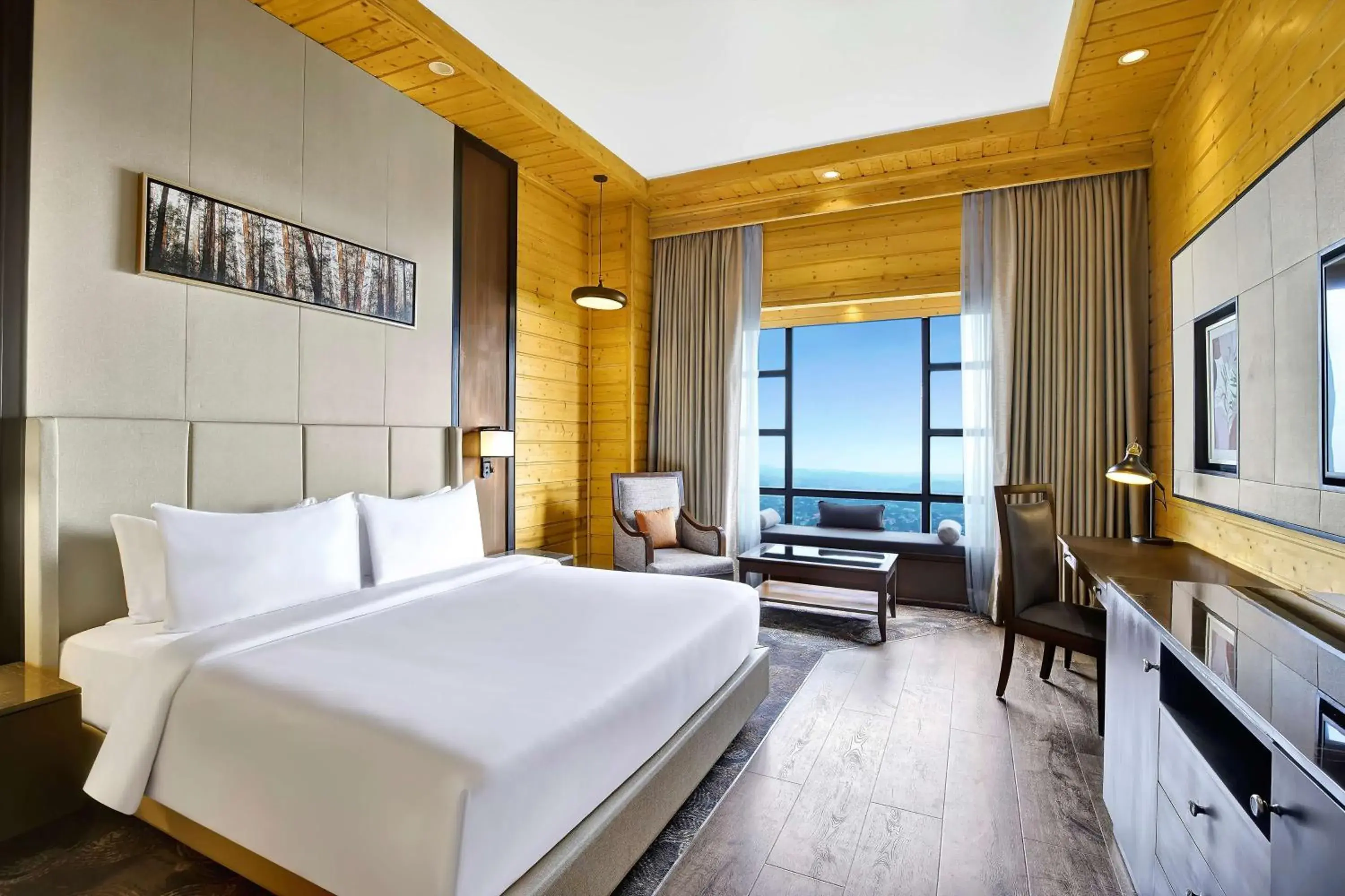 Deluxe Room in Radisson Blu Resort Dharamshala Deluxe Room in Radisson Blu Resort Dharamshala