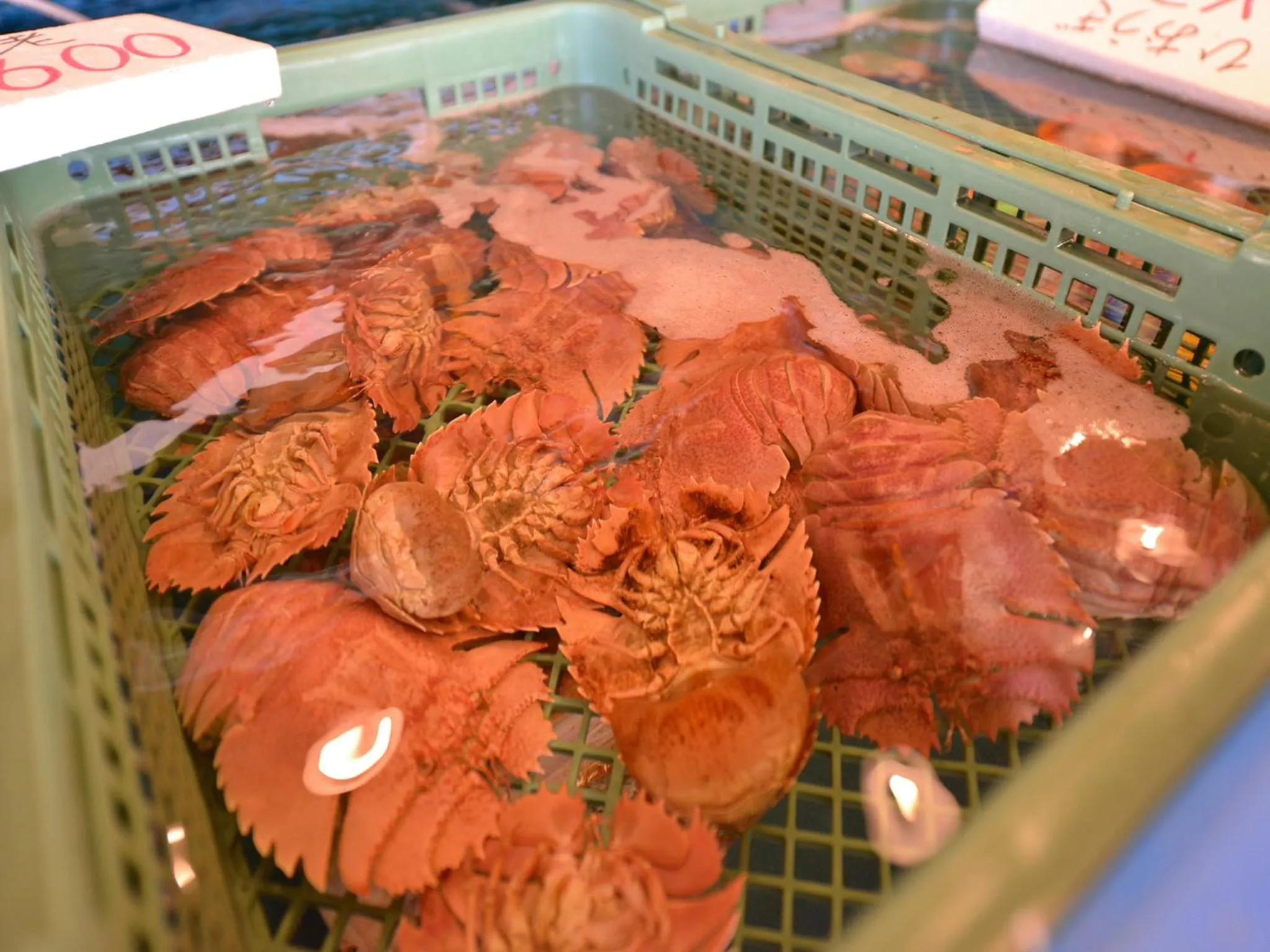 Nearby landmark in Jyokiya