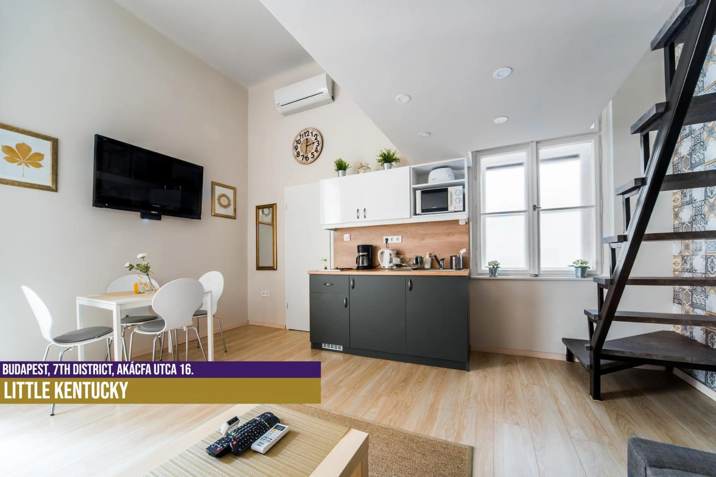 TV and multimedia in Little Americas Ring Apartments