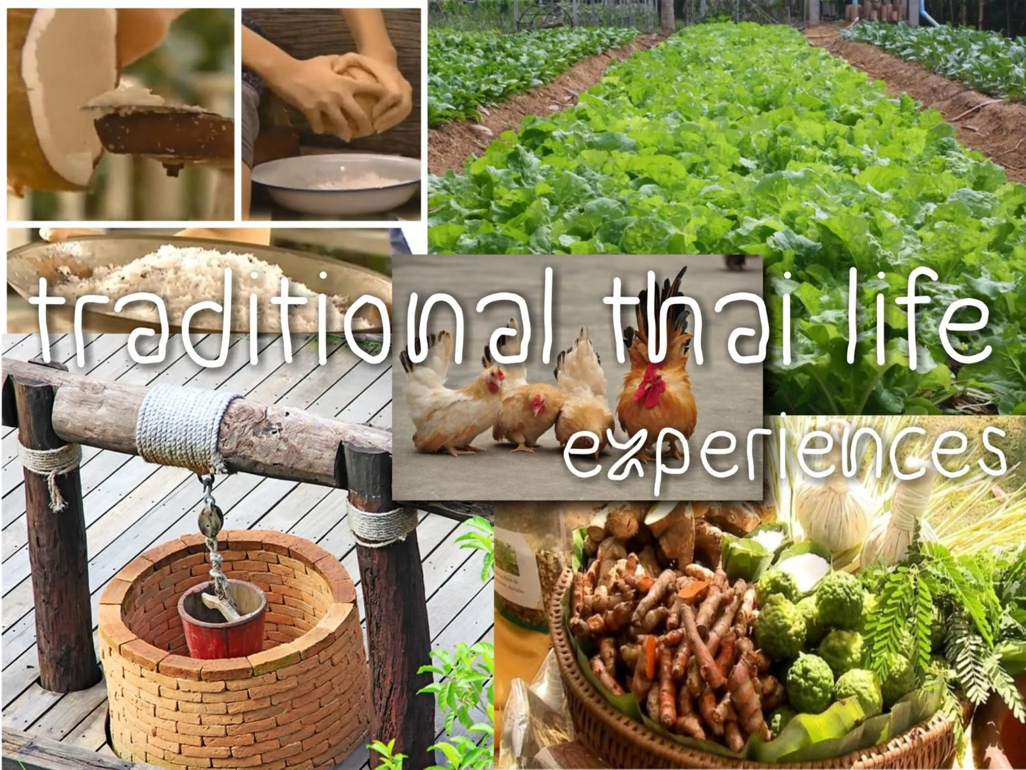 Activities in The Mud - Eco Hotel