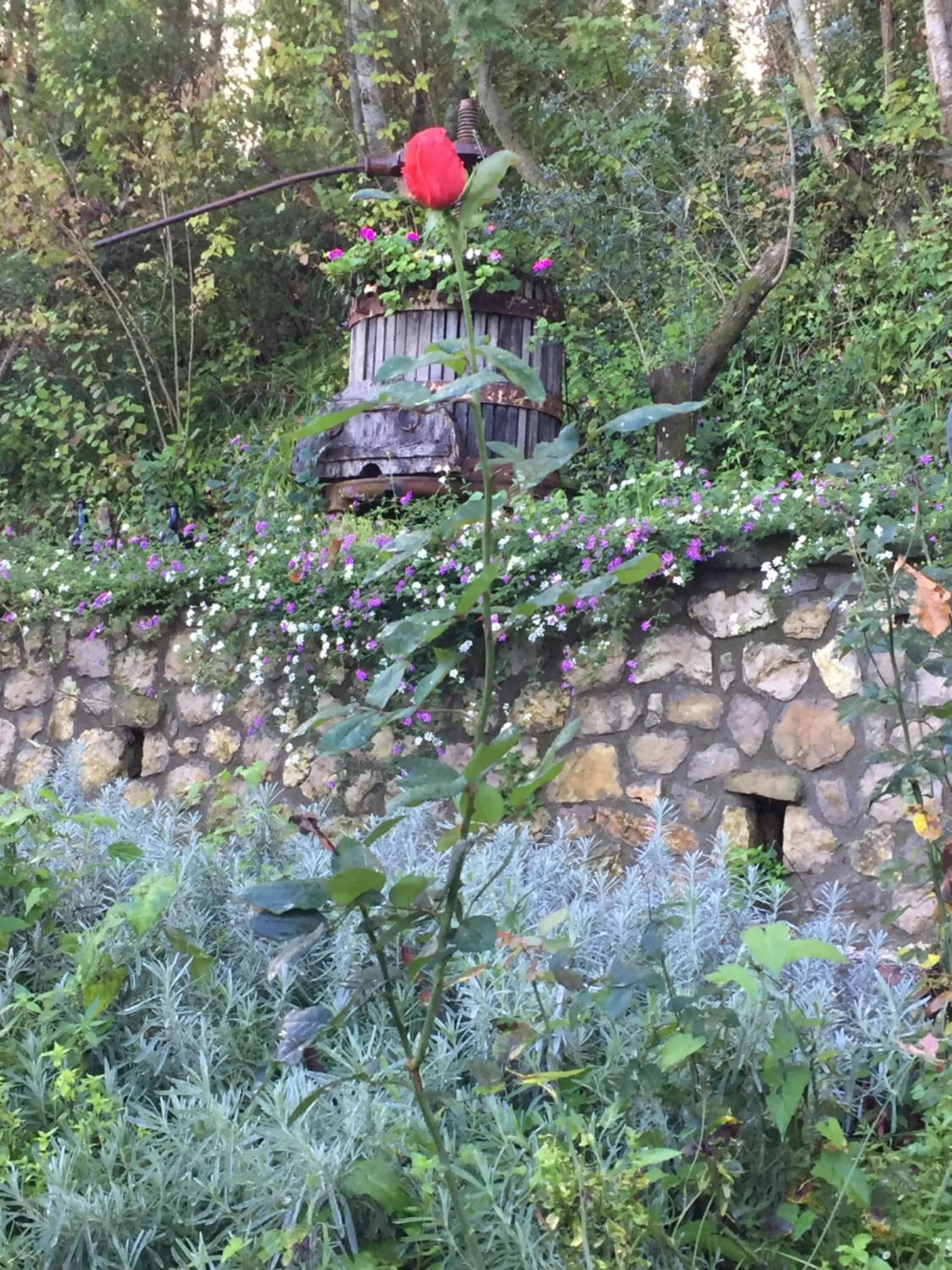 Garden in Il Casale Del Mirto