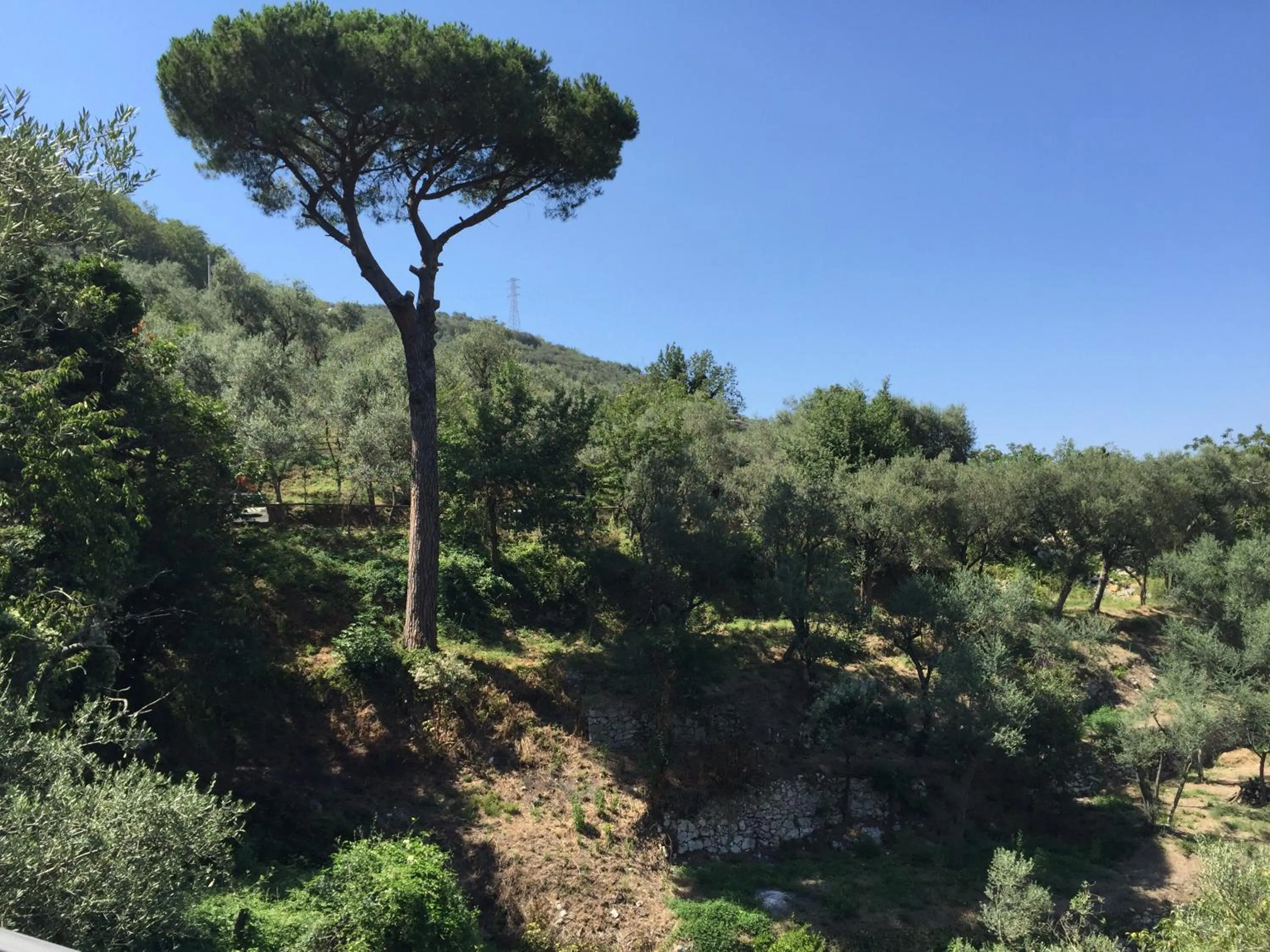 Property building in Il Casale Del Mirto