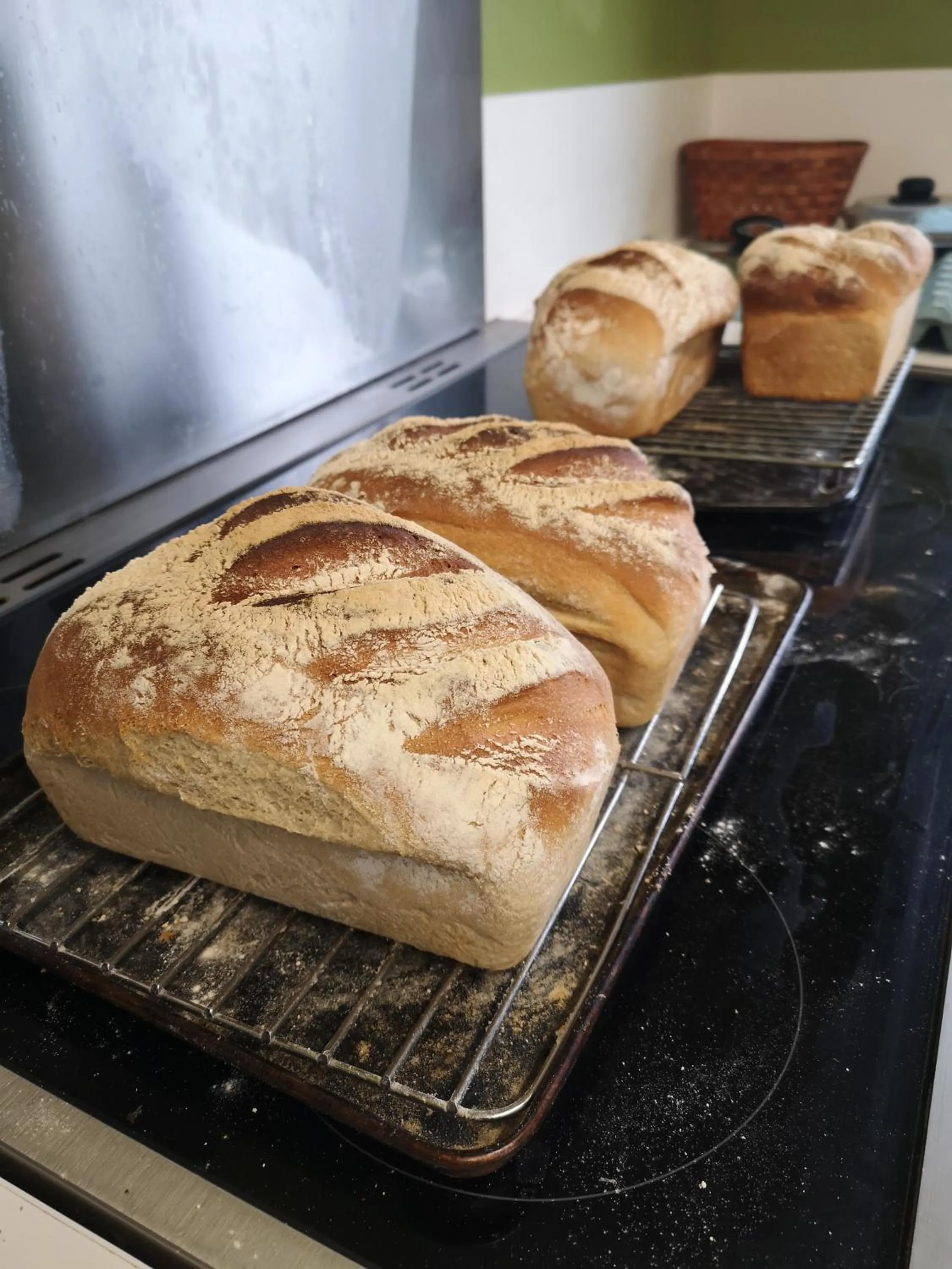Kitchen or kitchenette in Brampton Dales Farm