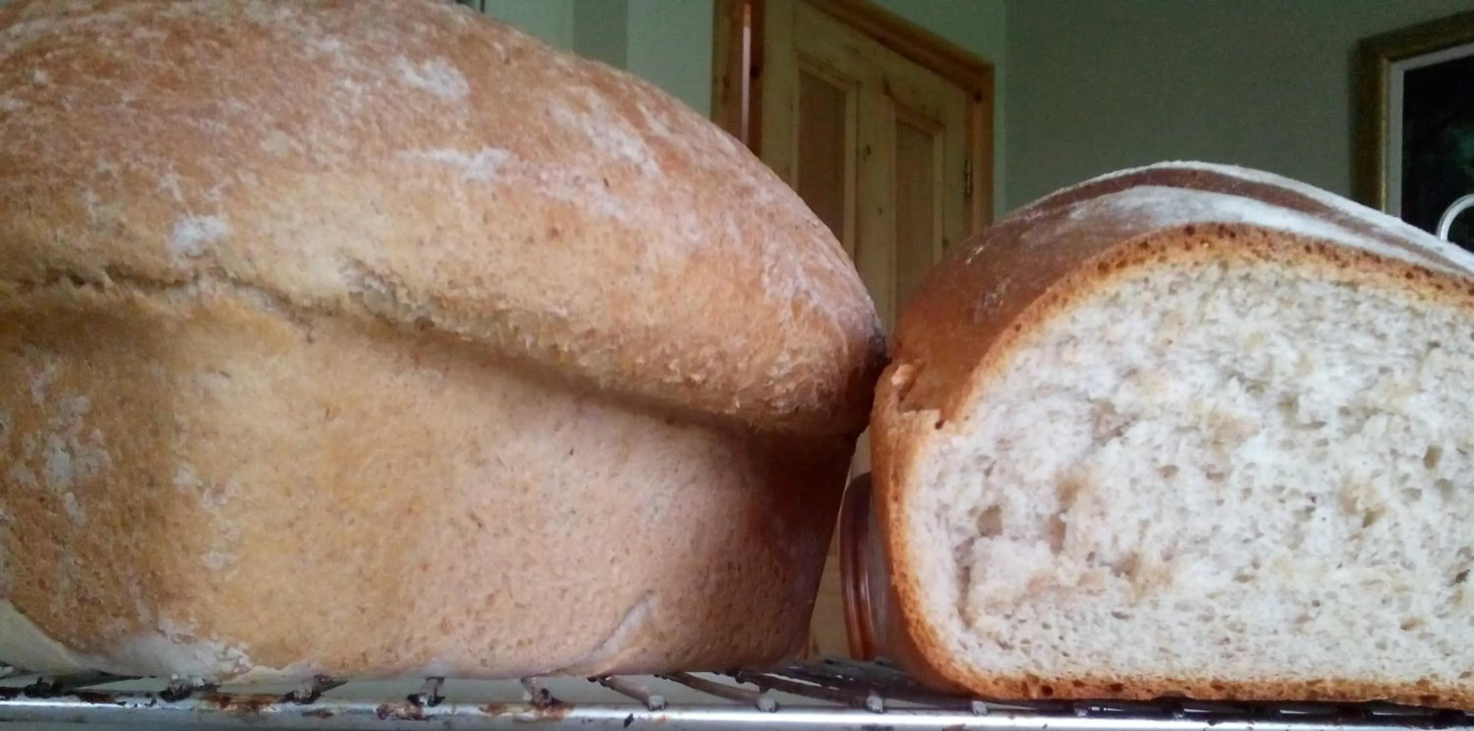 Food close-up in Brampton Dales Farm