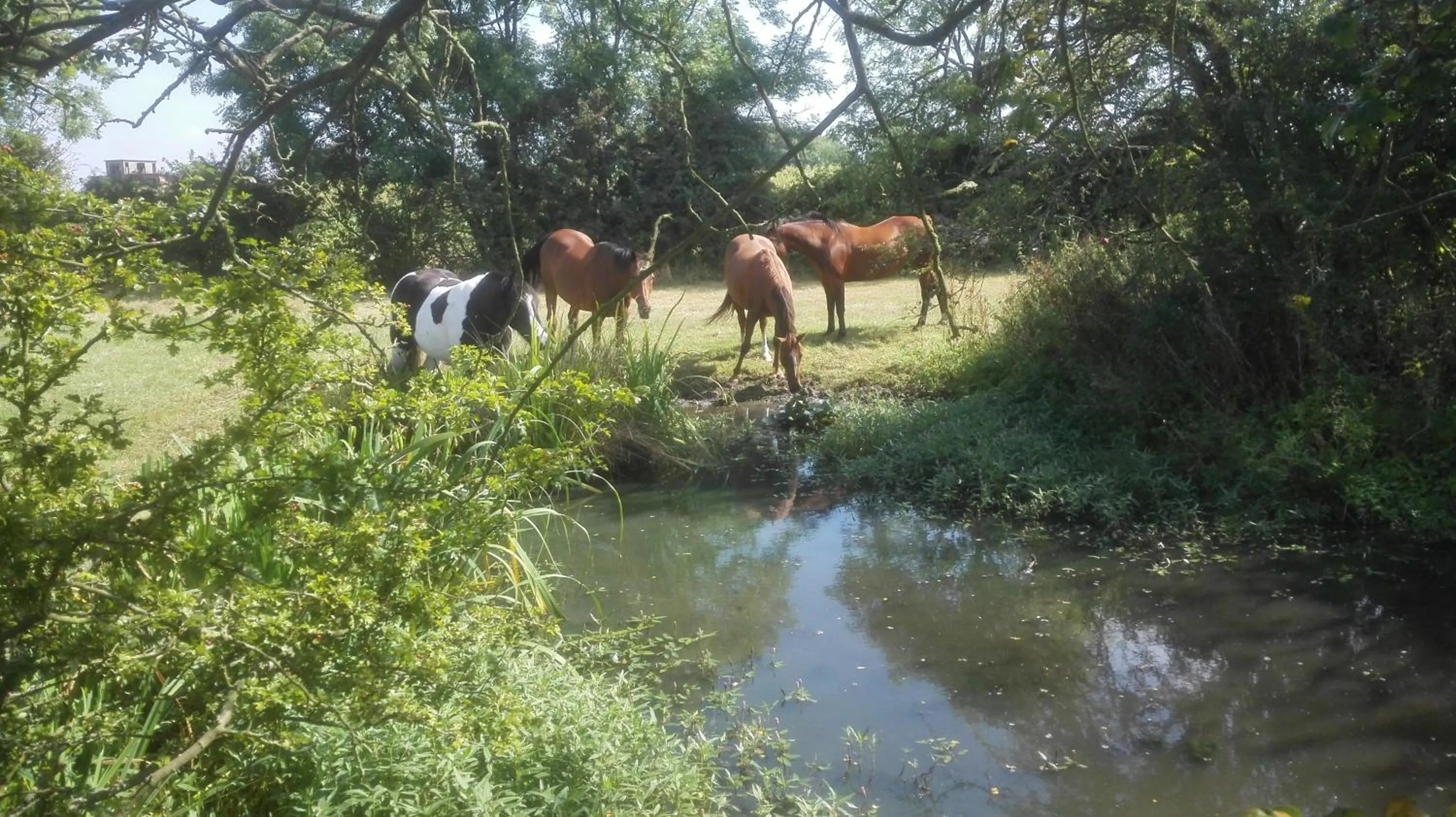 Property building in Brampton Dales Farm