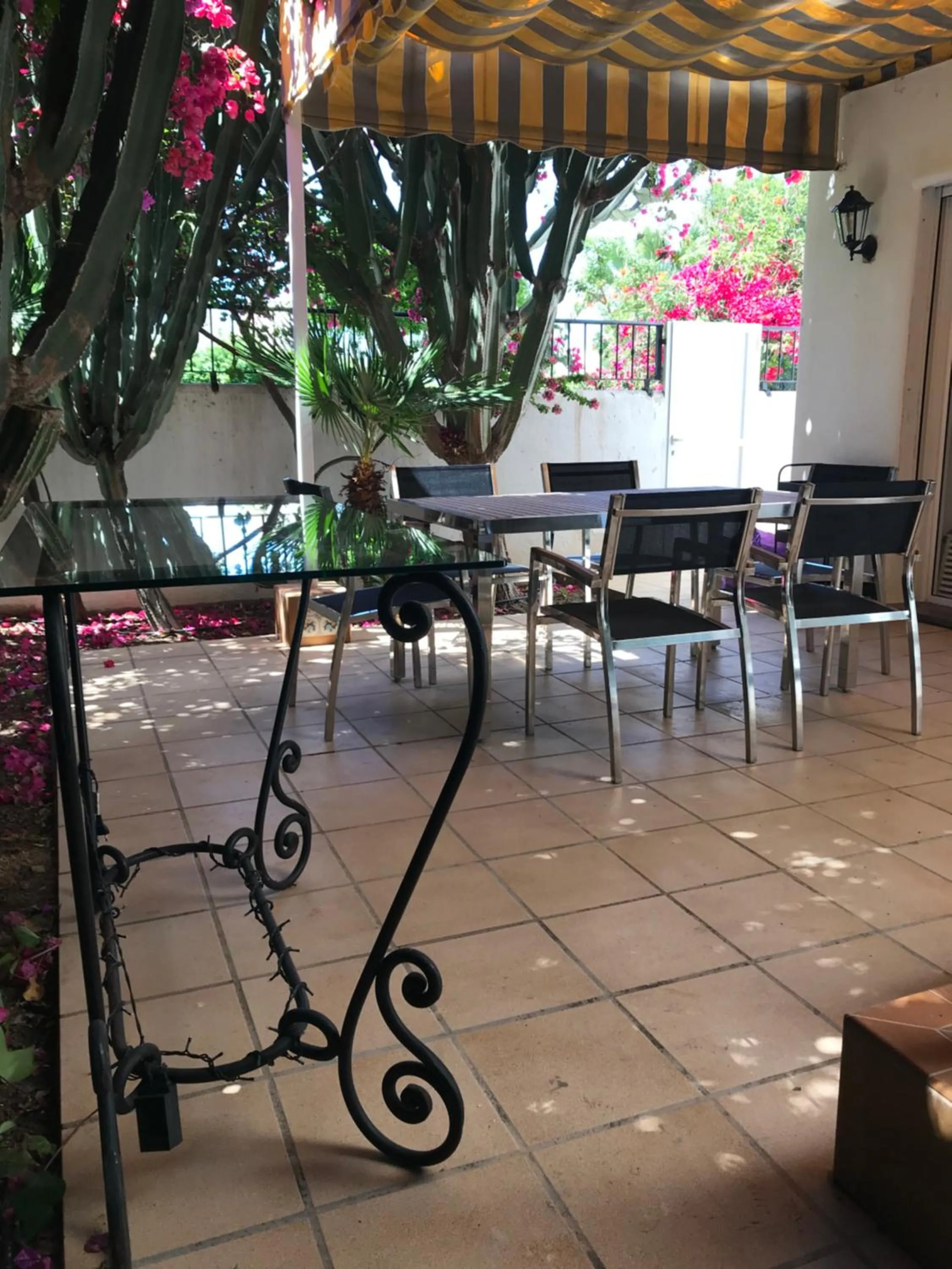 Garden in Urbanizacion Puerto Rey
