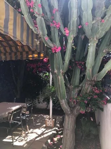 Balcony/Terrace in Urbanizacion Puerto Rey