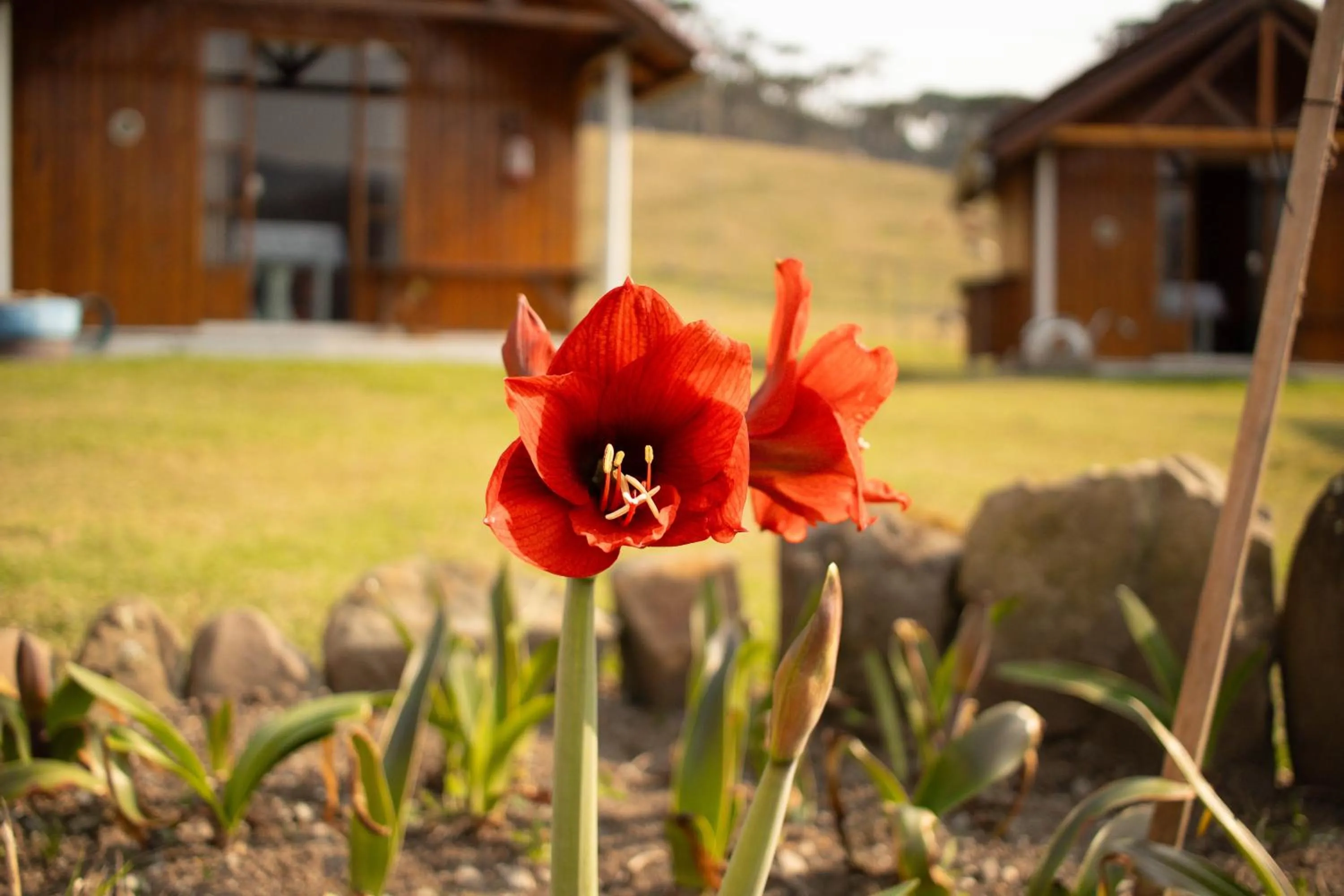 Garden in Pousada da Z