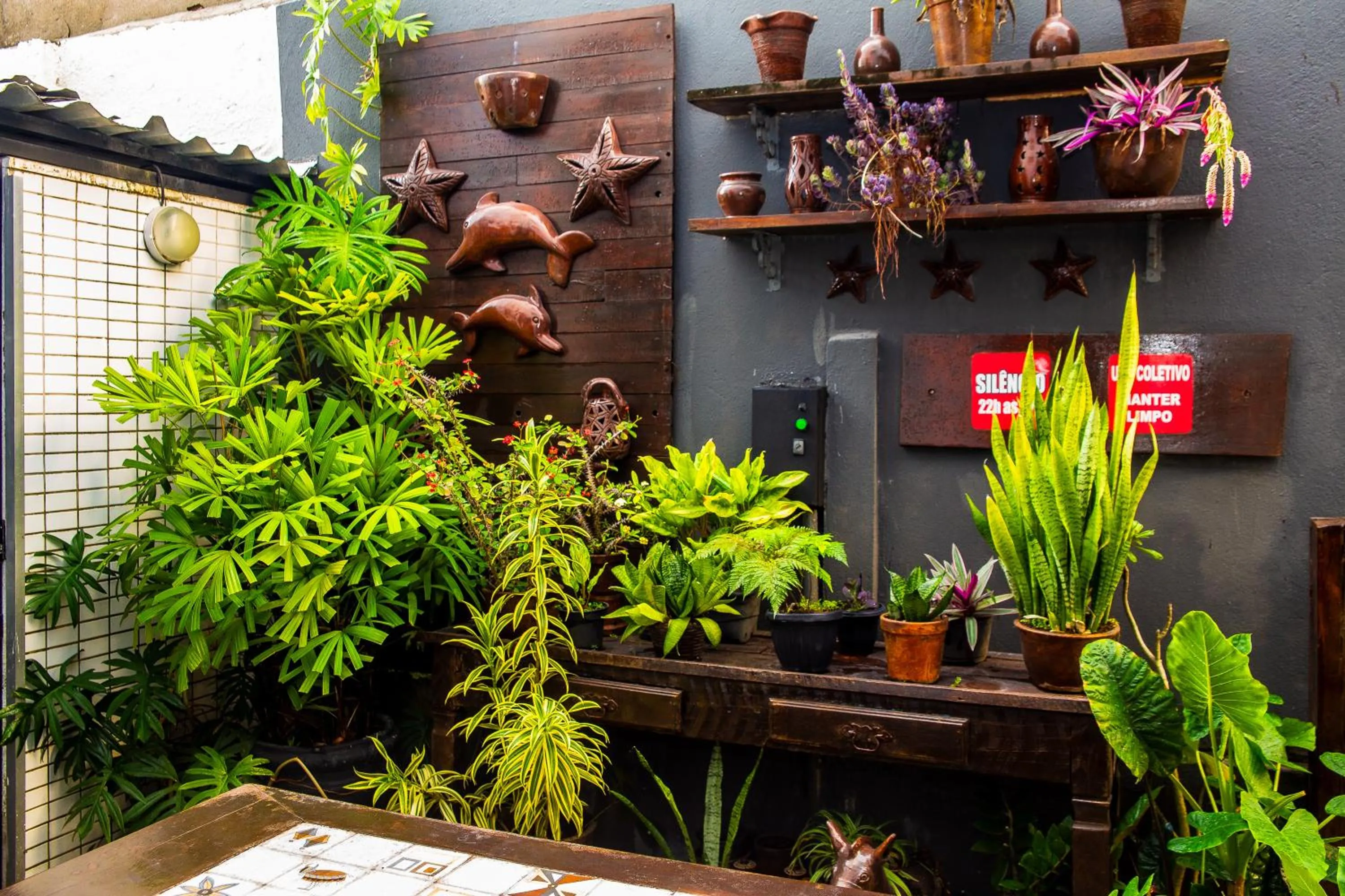 Garden in Economy Suites