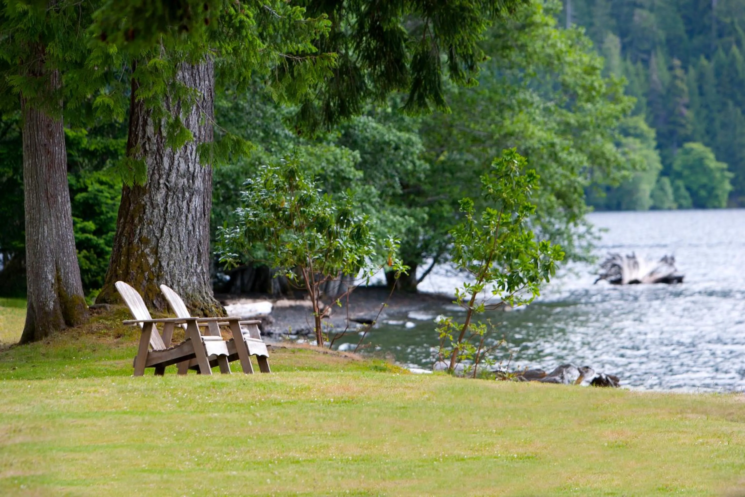 Decorative detail in Lake Crescent Lodge